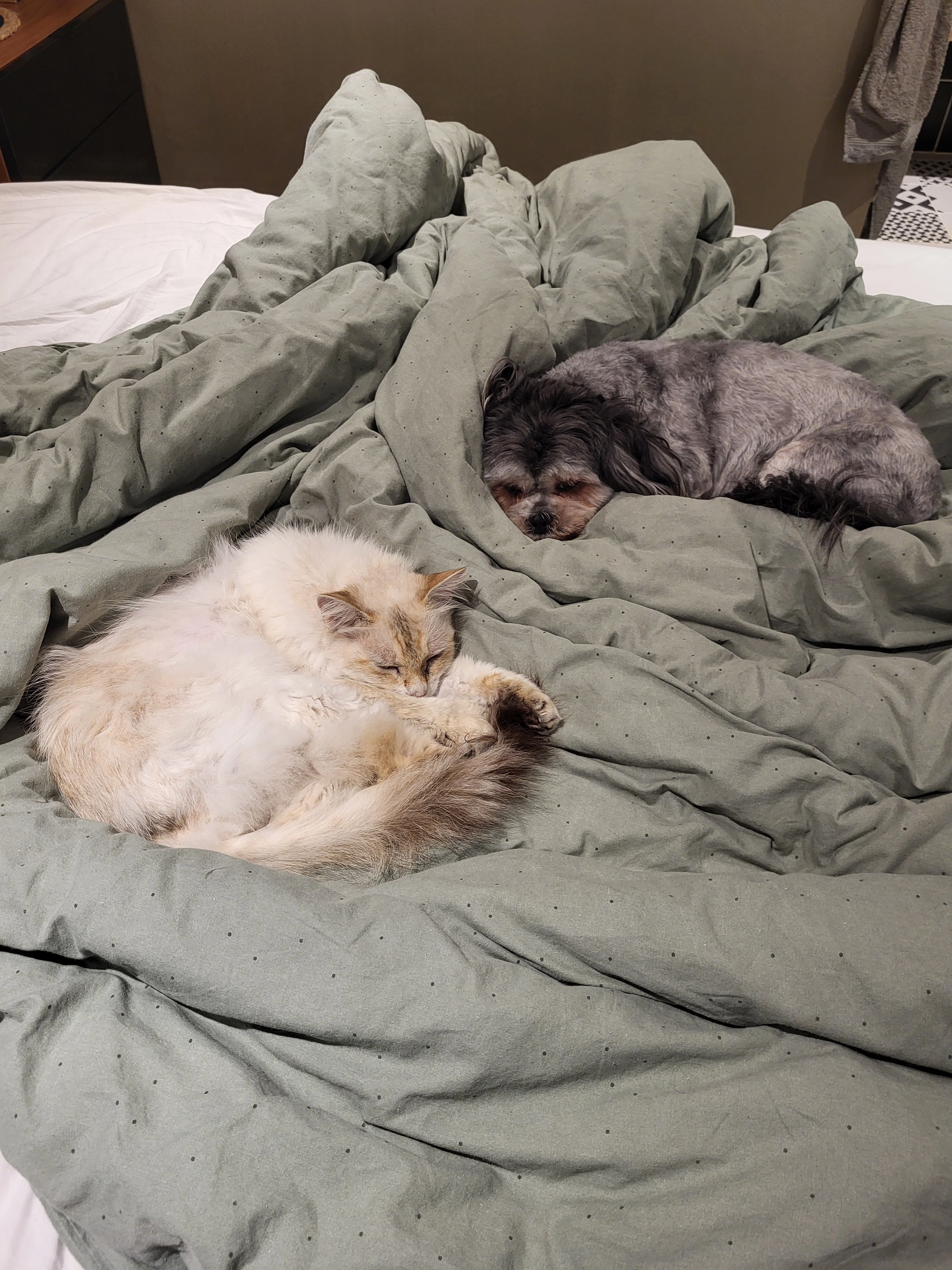 Bianca - Rue de Bel-Air, Saint-Doulchard