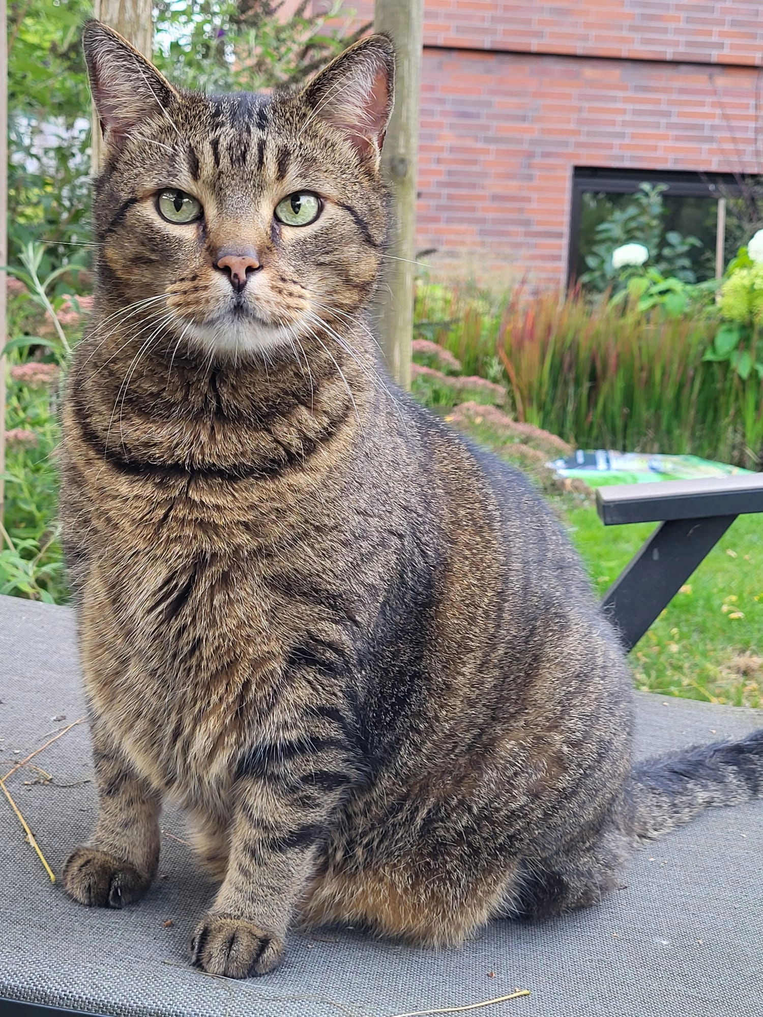 Miro - Hasseler Straße, St. Ingbert