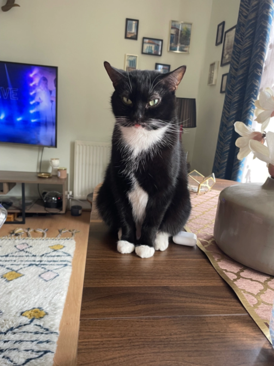 Phoenix - Nw2 7dw, London