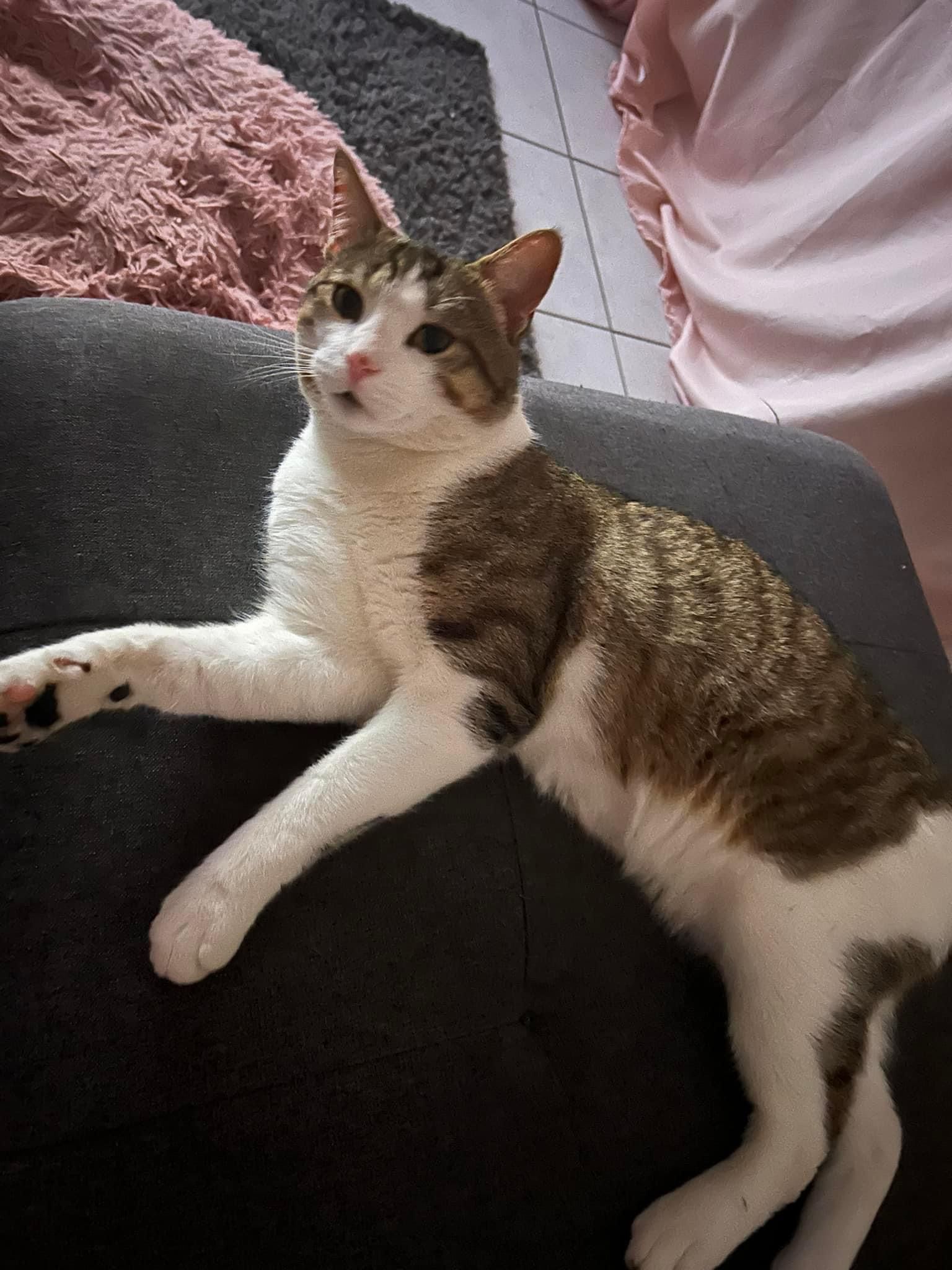 TOM - Rue Louis Bonnet, Challuy