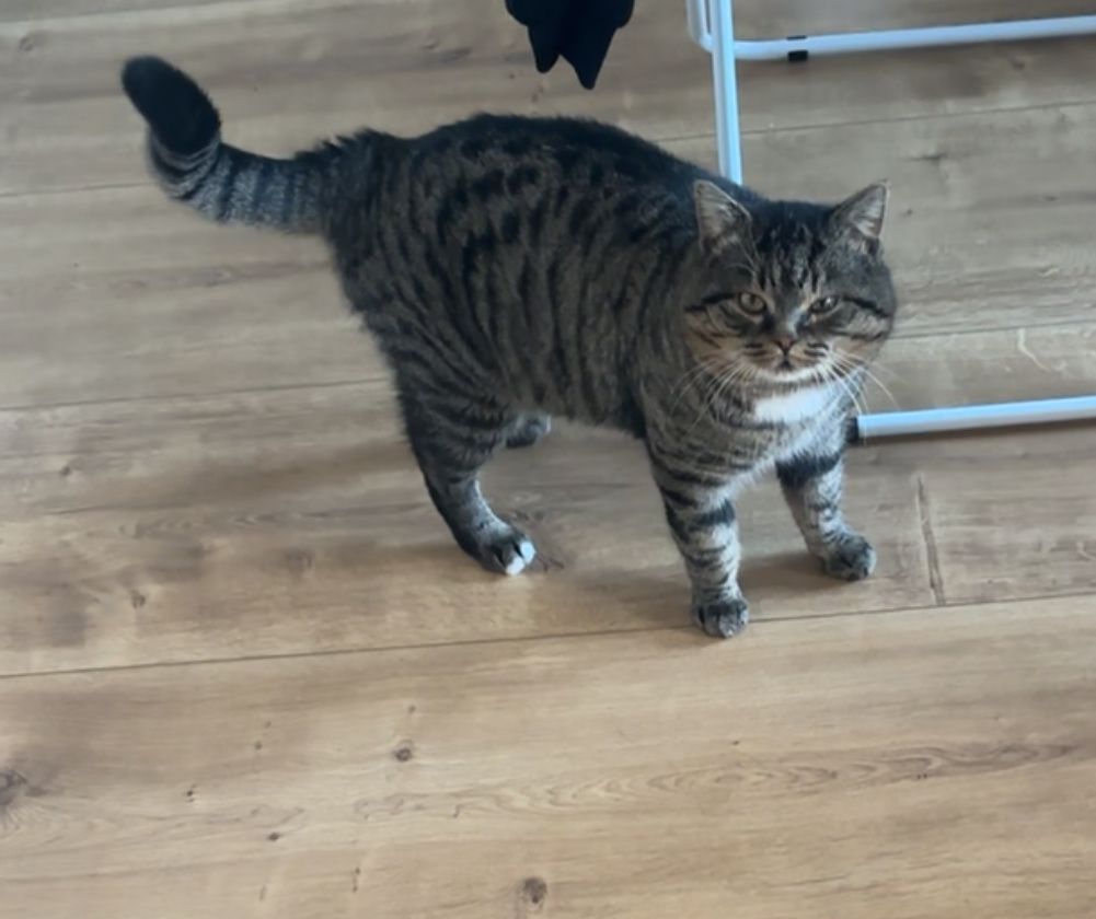 Flinn - Am Galgenfeld, Pöttmes