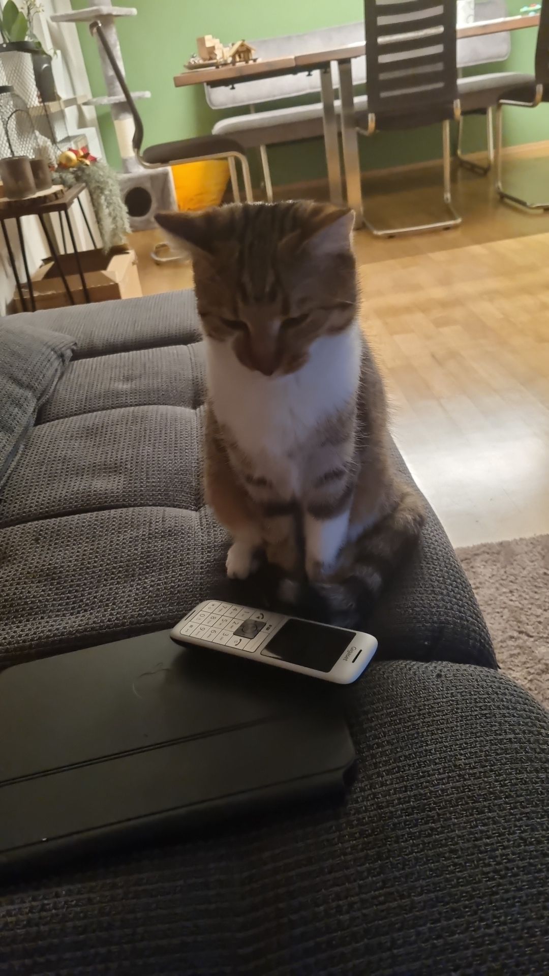 Kira - Schönwerthstraße, Neumarkt in der Oberpfalz