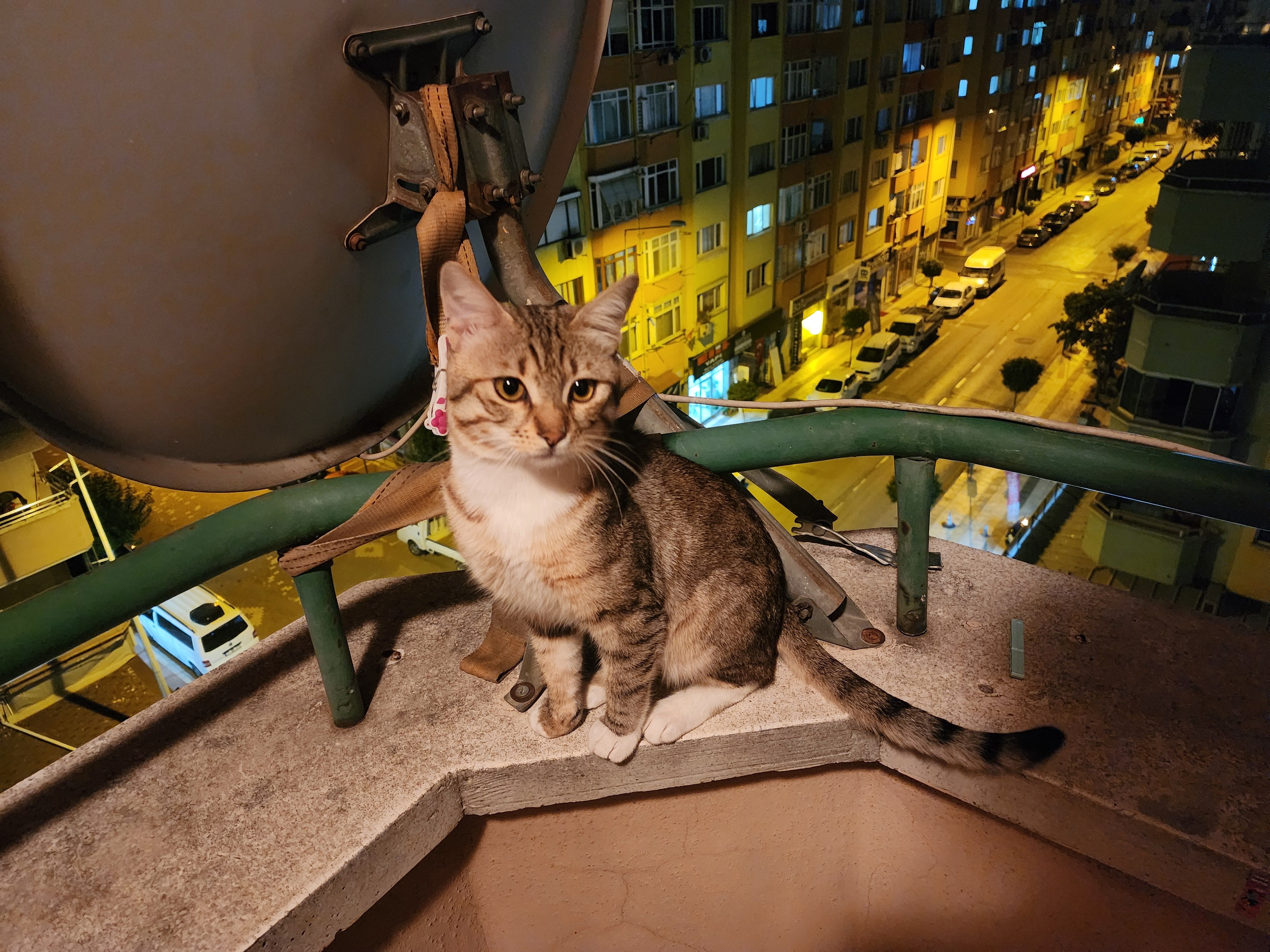 Junior  - 72. Sokak, Ankara