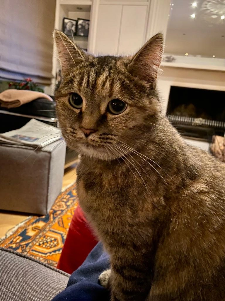 Spritz - Peperkoren, Beveren-Kruibeke-Zwijndrecht