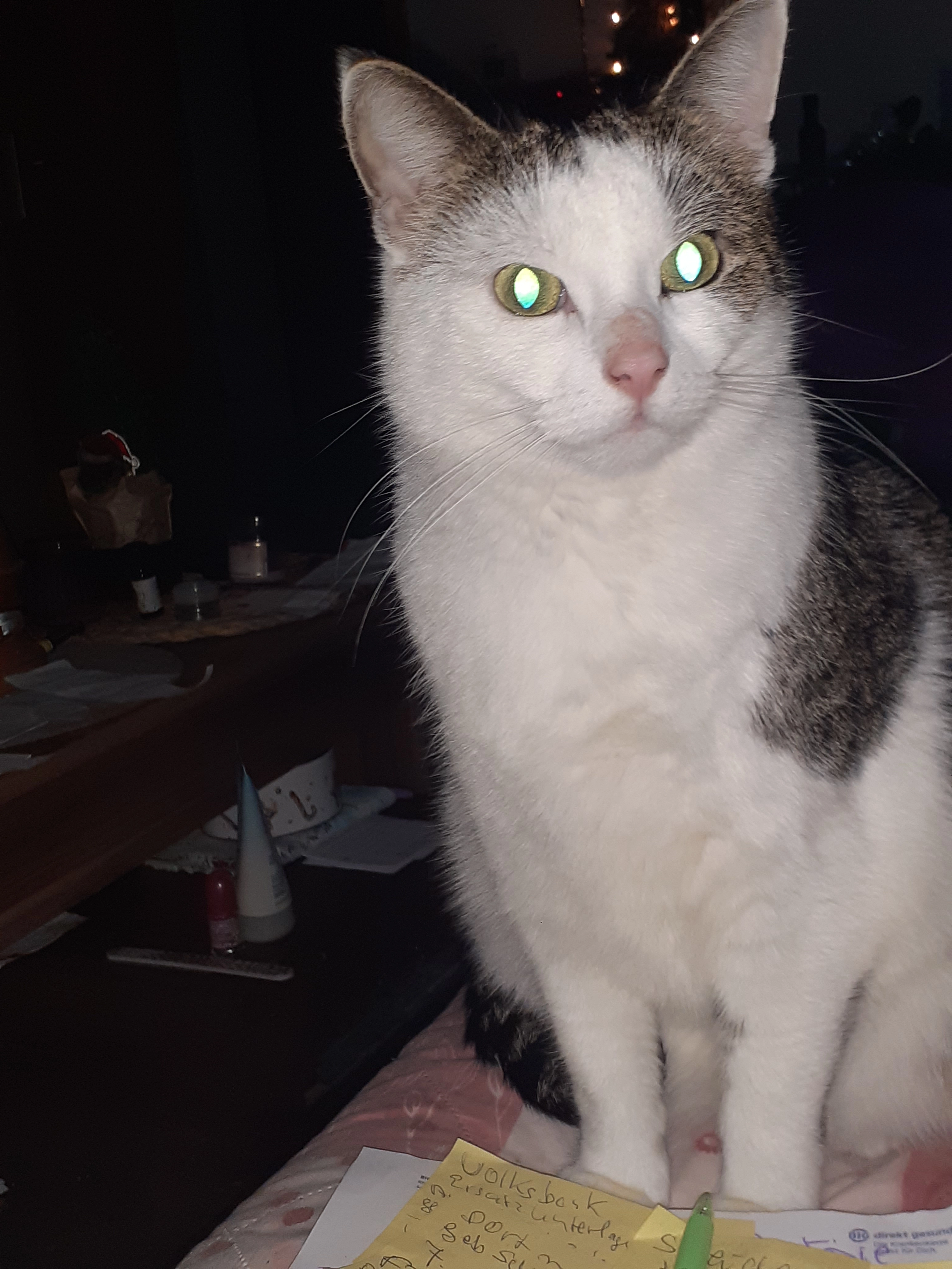 Gizmo - Paulinenstraße, Marsberg