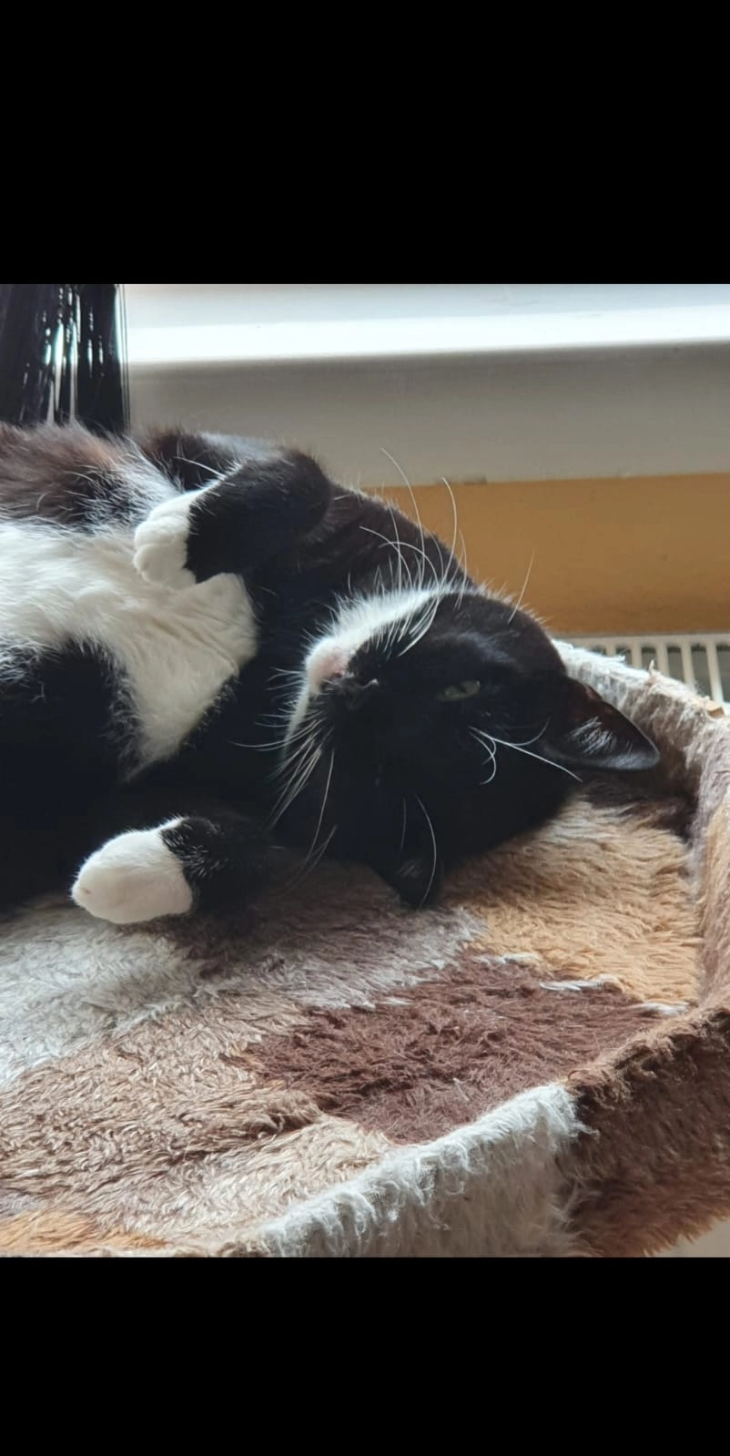 Fiene - Humboldtstraße, Remscheid