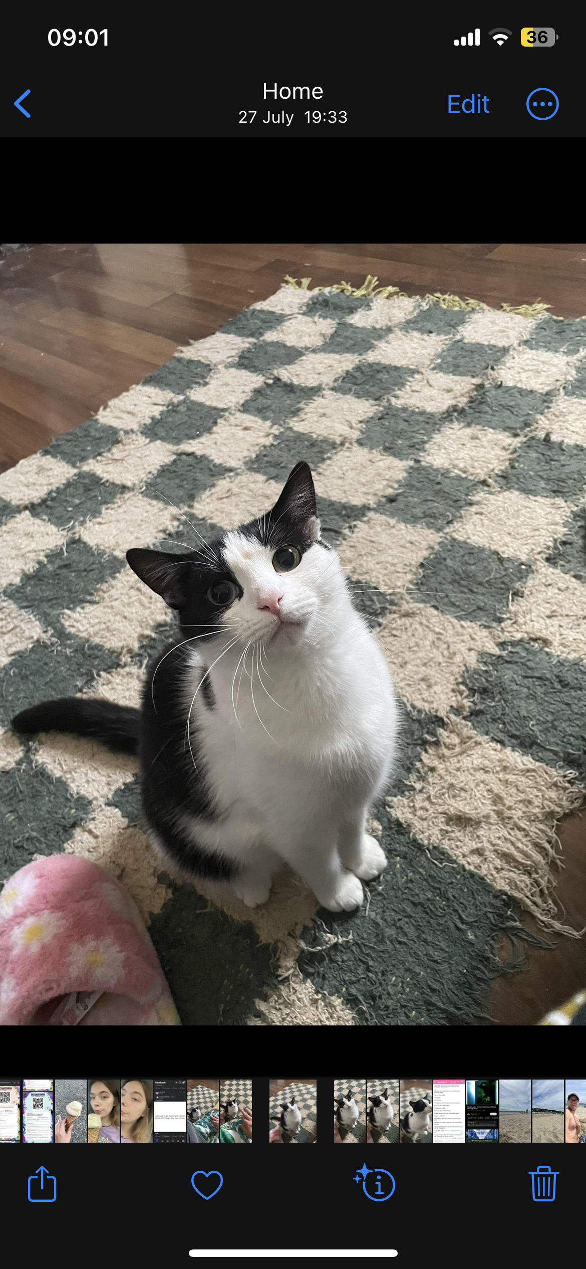 Nelly - Mill Street, Prees, Whitchurch