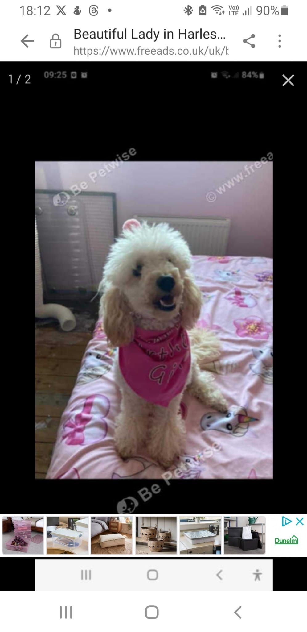 Lady  - Mill Road, Beccles