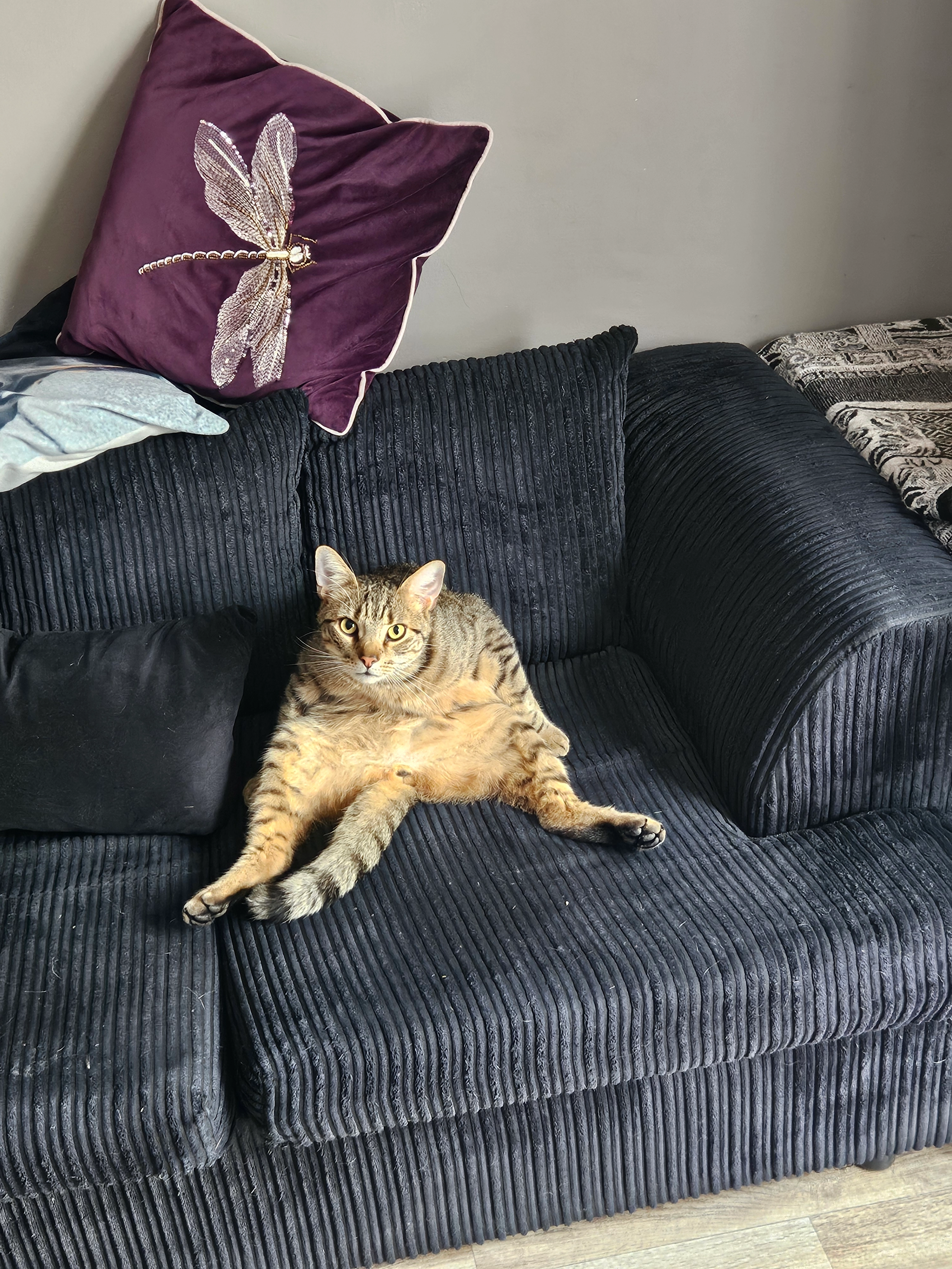 Fat kiki aka hades - Coney Green, Winchester