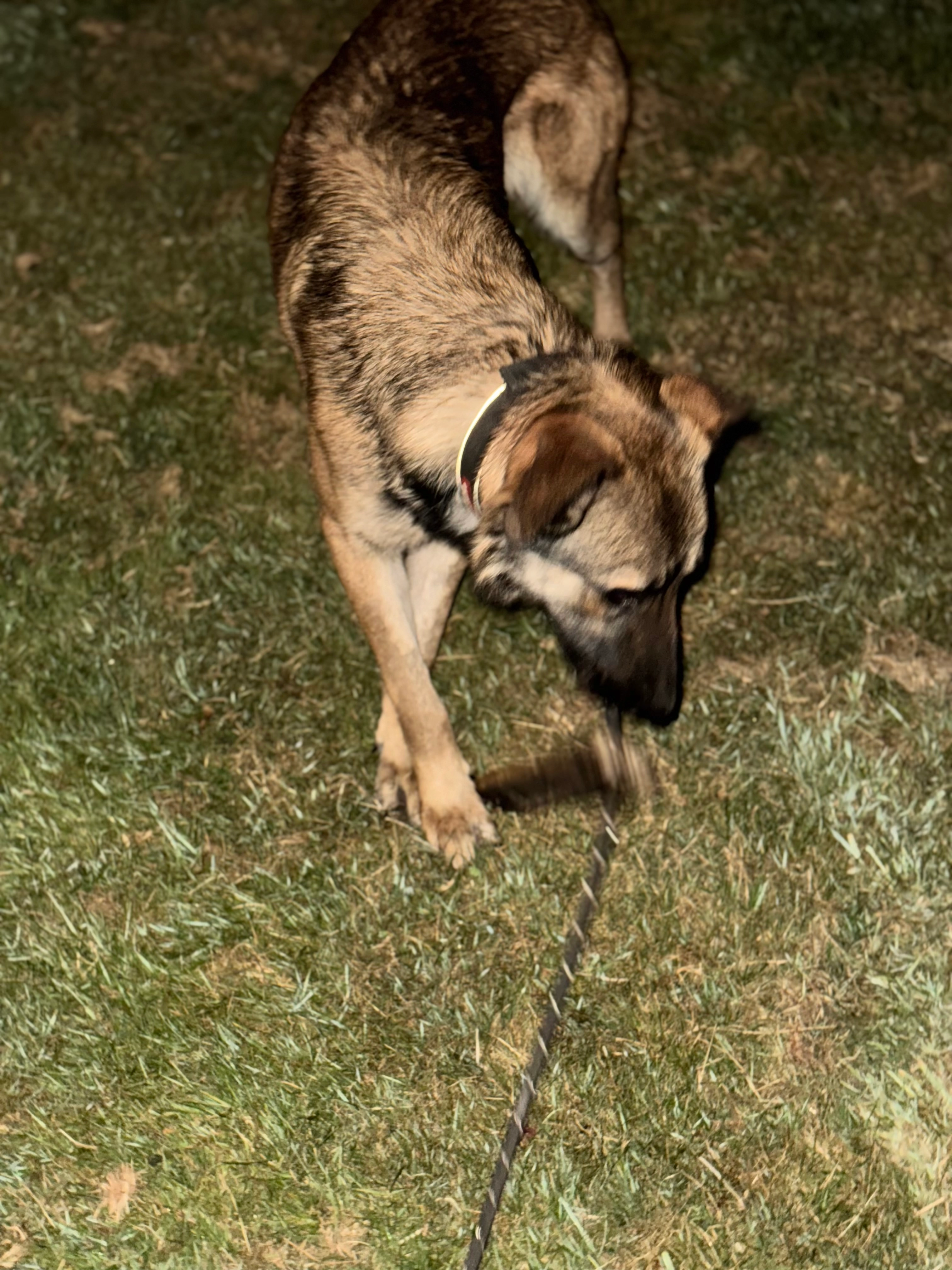 Alex - M60, Manchester