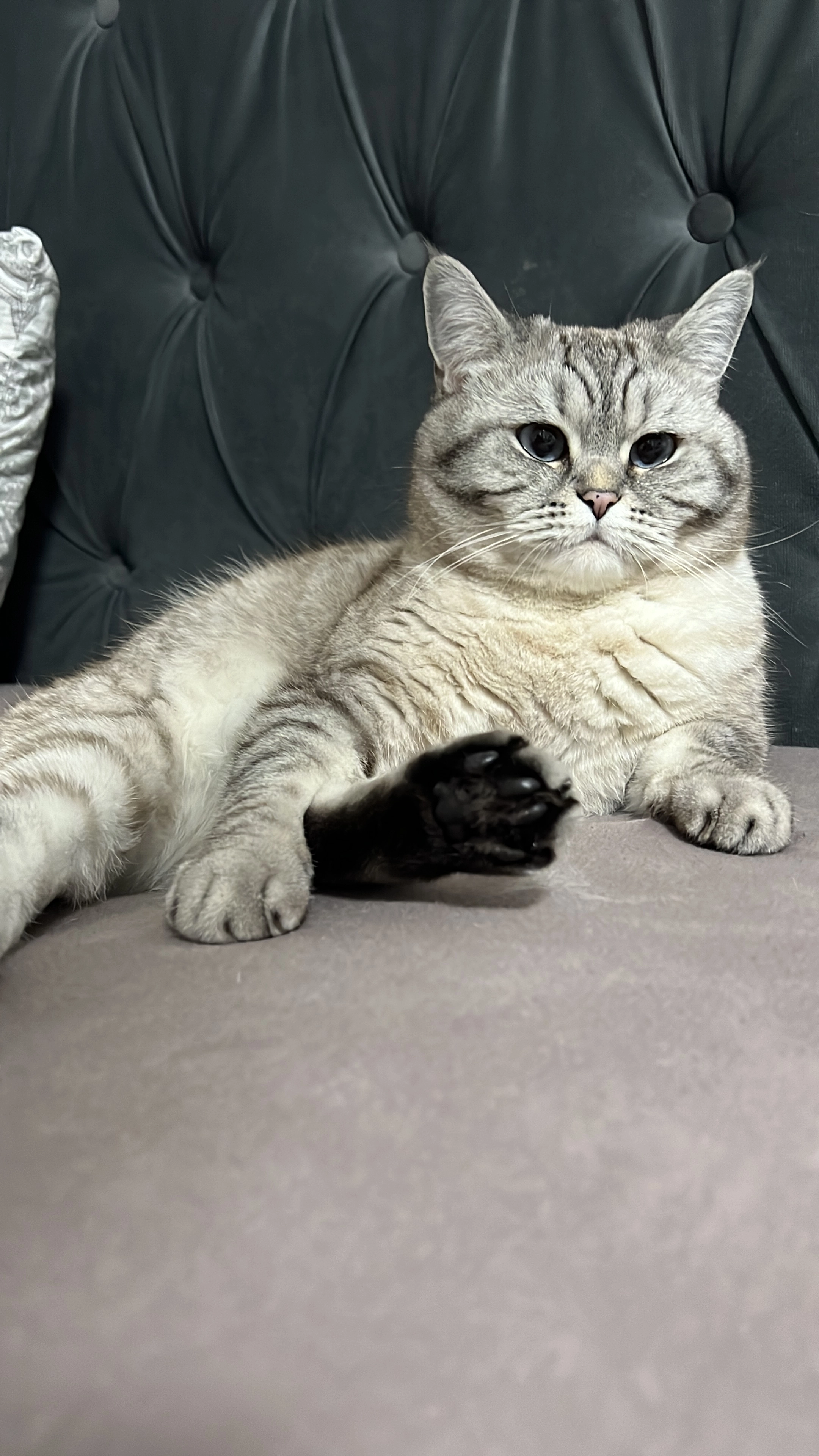 Asisa - Im Alten Dorf, Bremen