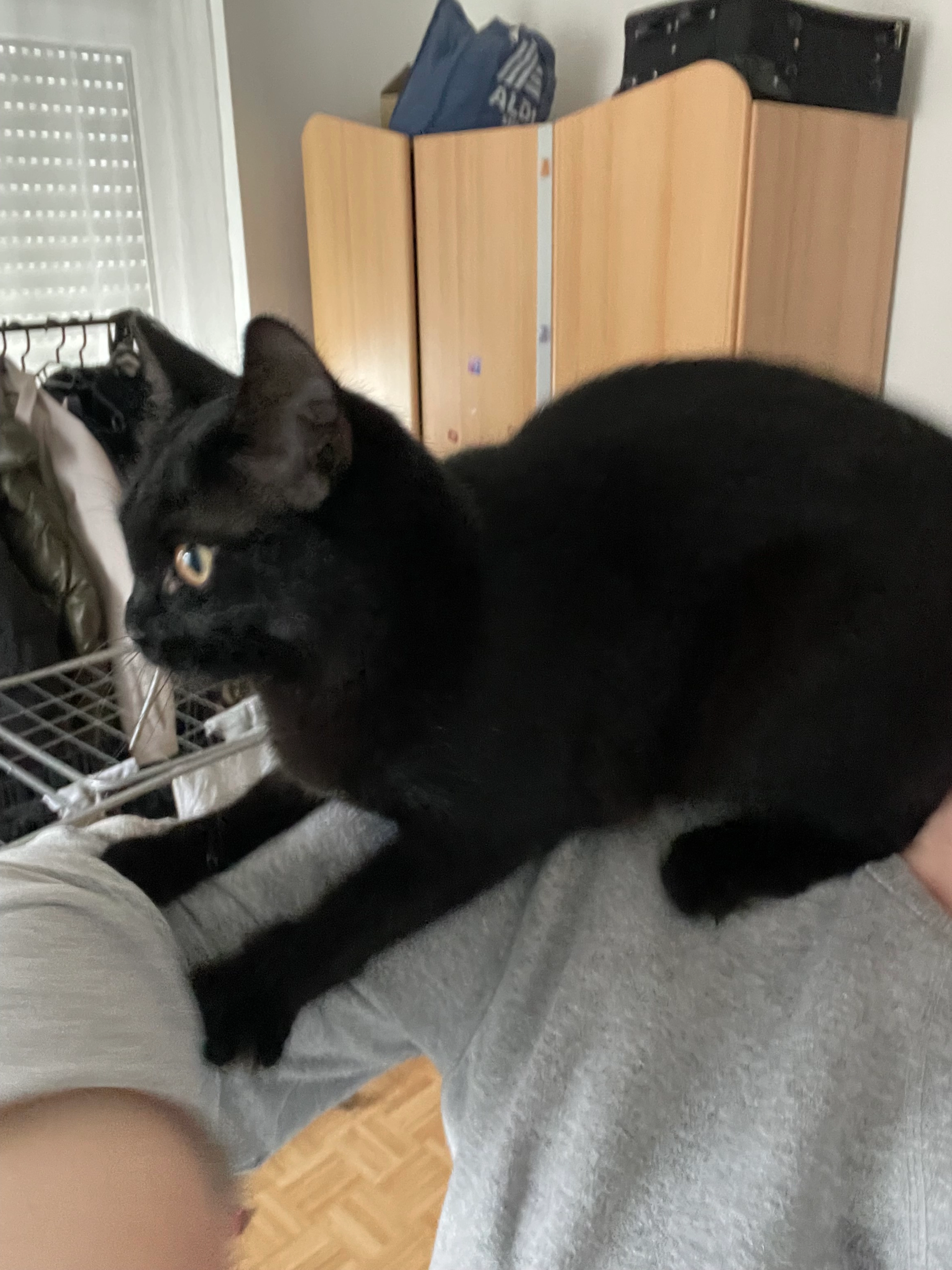 Mascha  - Pallinger Straße, Traunreut