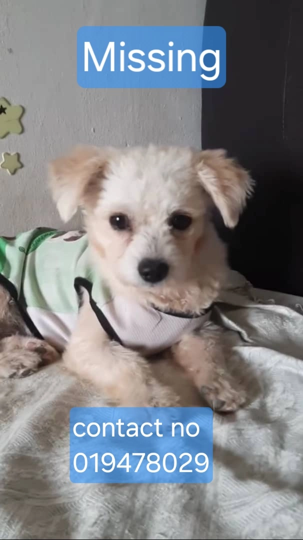 Vaishu  - 25300, Kuantan