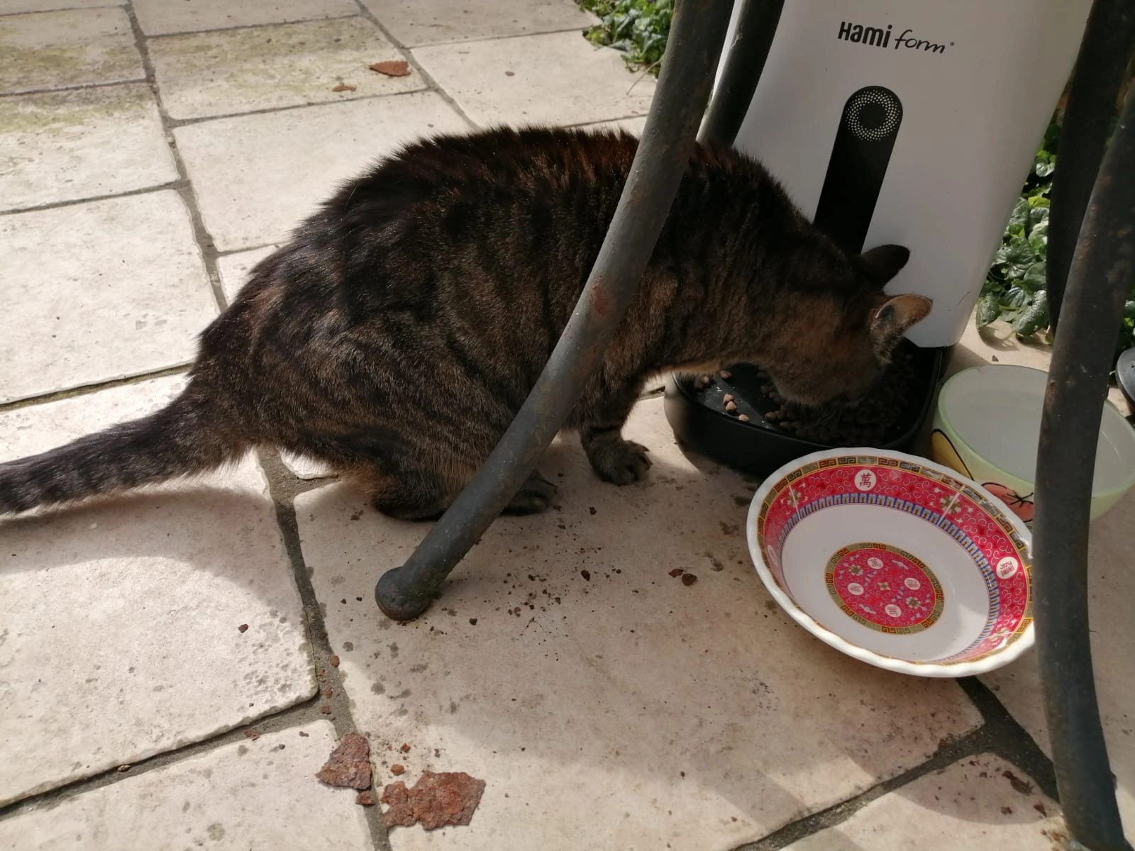 Diouk mais nous l'appelons Didi o - Rue De Villeneuve, Saint-Hilaire-de-Riez