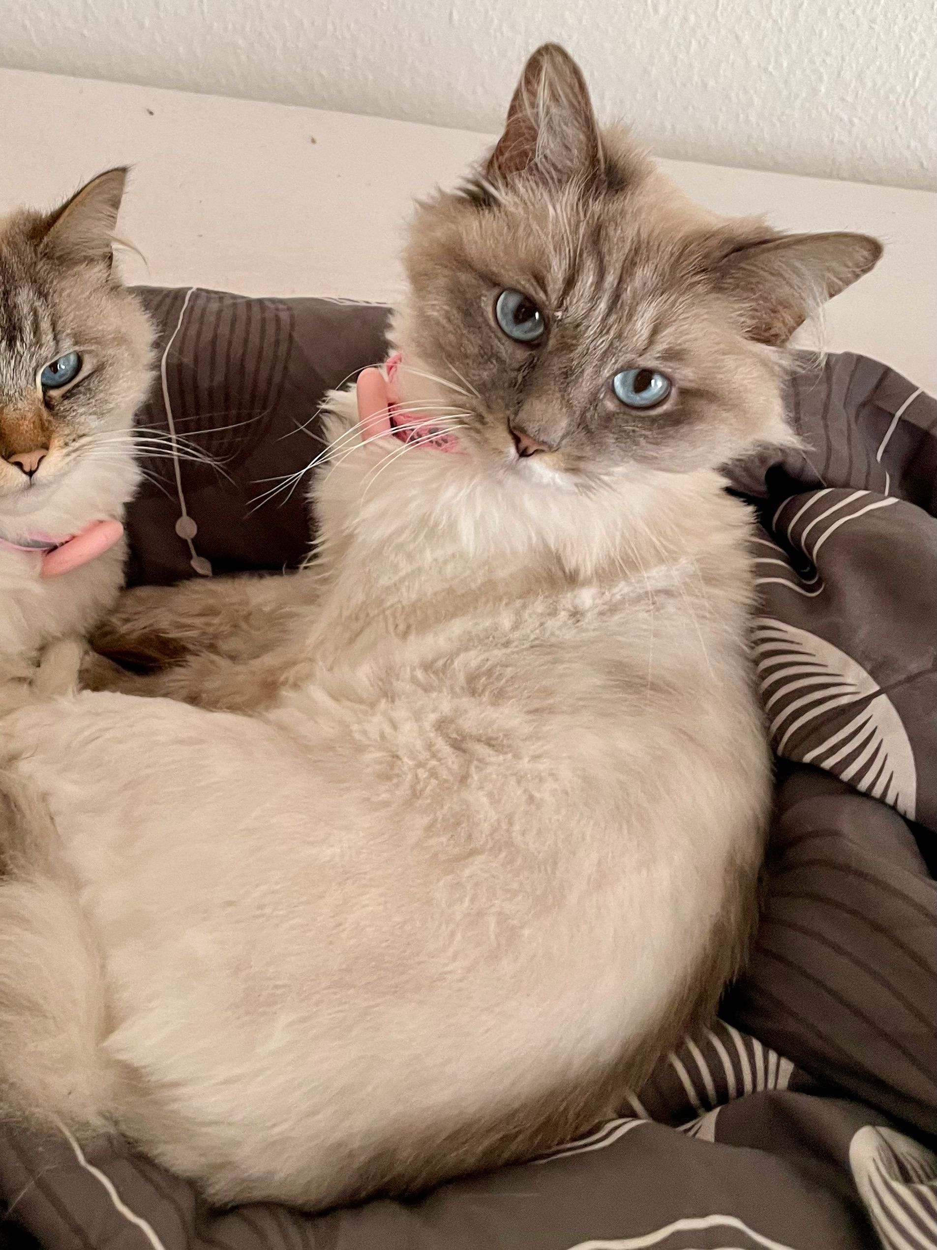 Nala - Bliedenstraße, Wismar