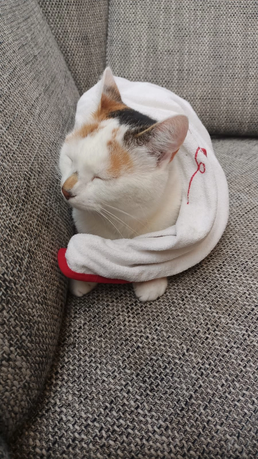 Kuschel  - Schillerstraße, Höchstädt an der Donau