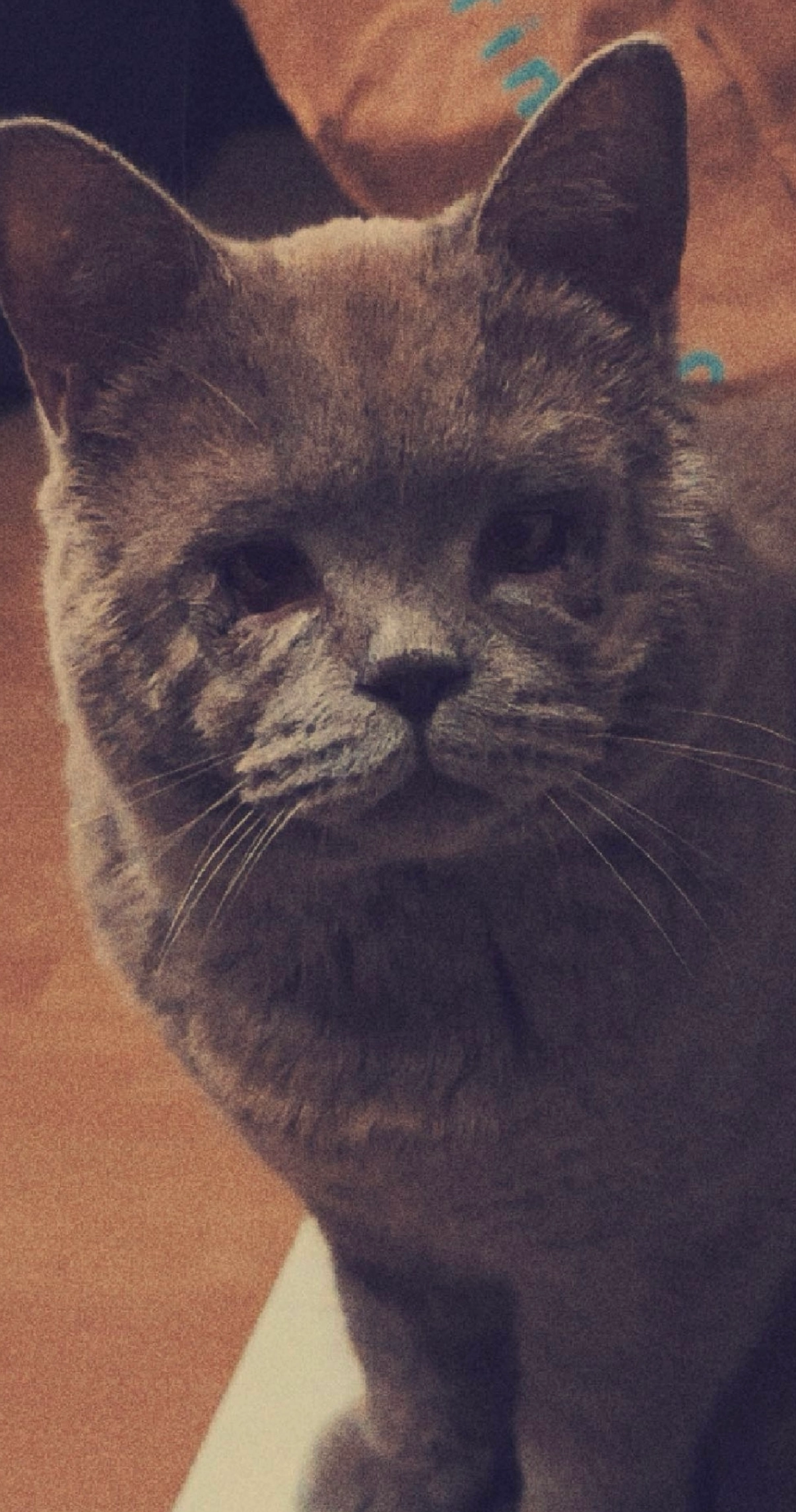 Bounty - Am Kühlen Graben, Düren