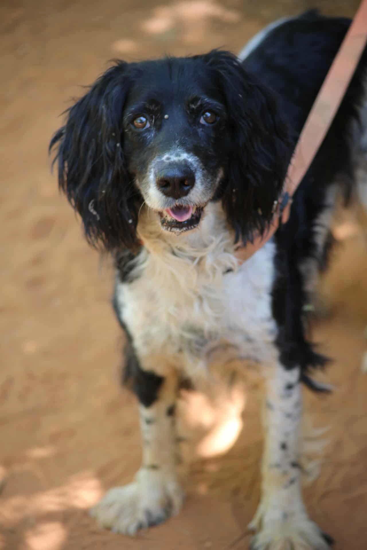 Ice Tea - Avenue Pierre Augier, Pertuis