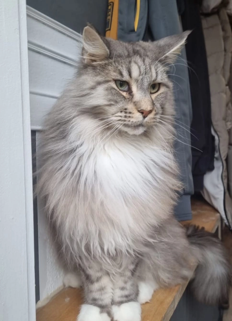 Jax - Schaluinen, Noord-Brabant