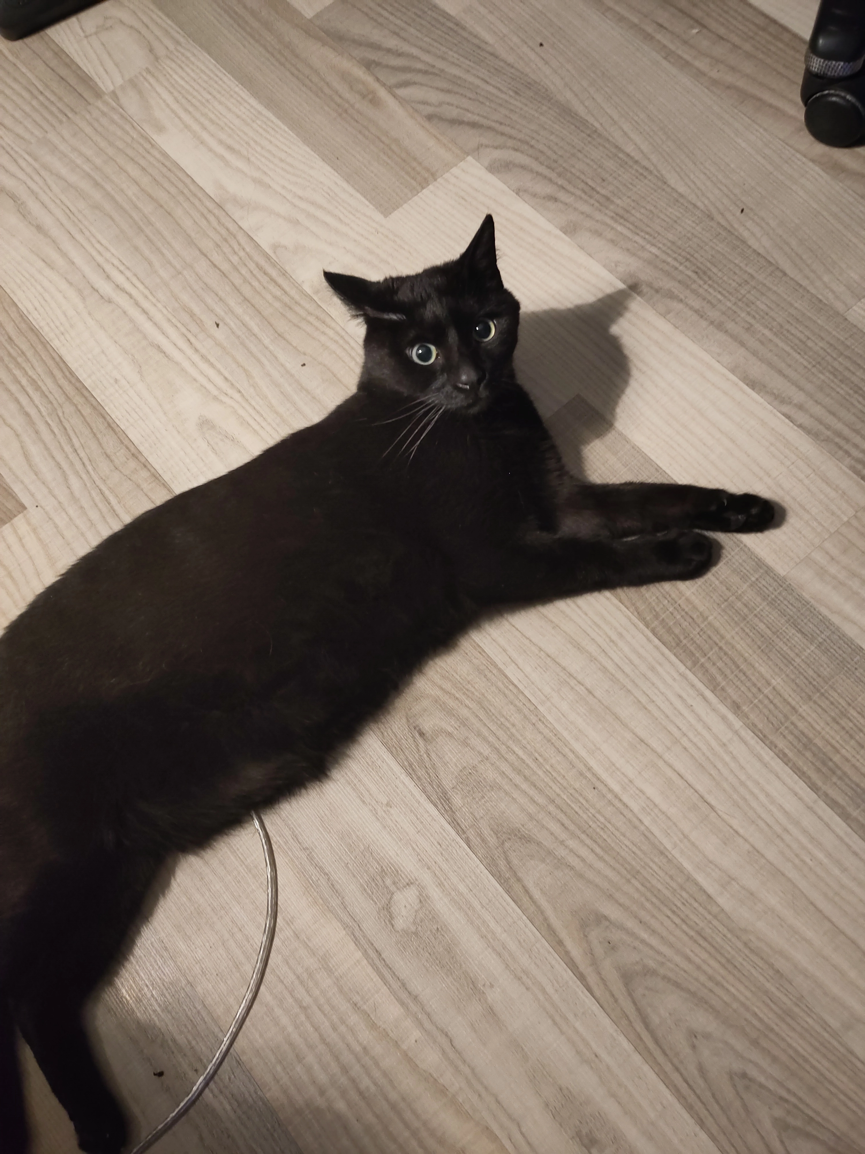 Yone - Herzogenburger Straße, St. Pölten