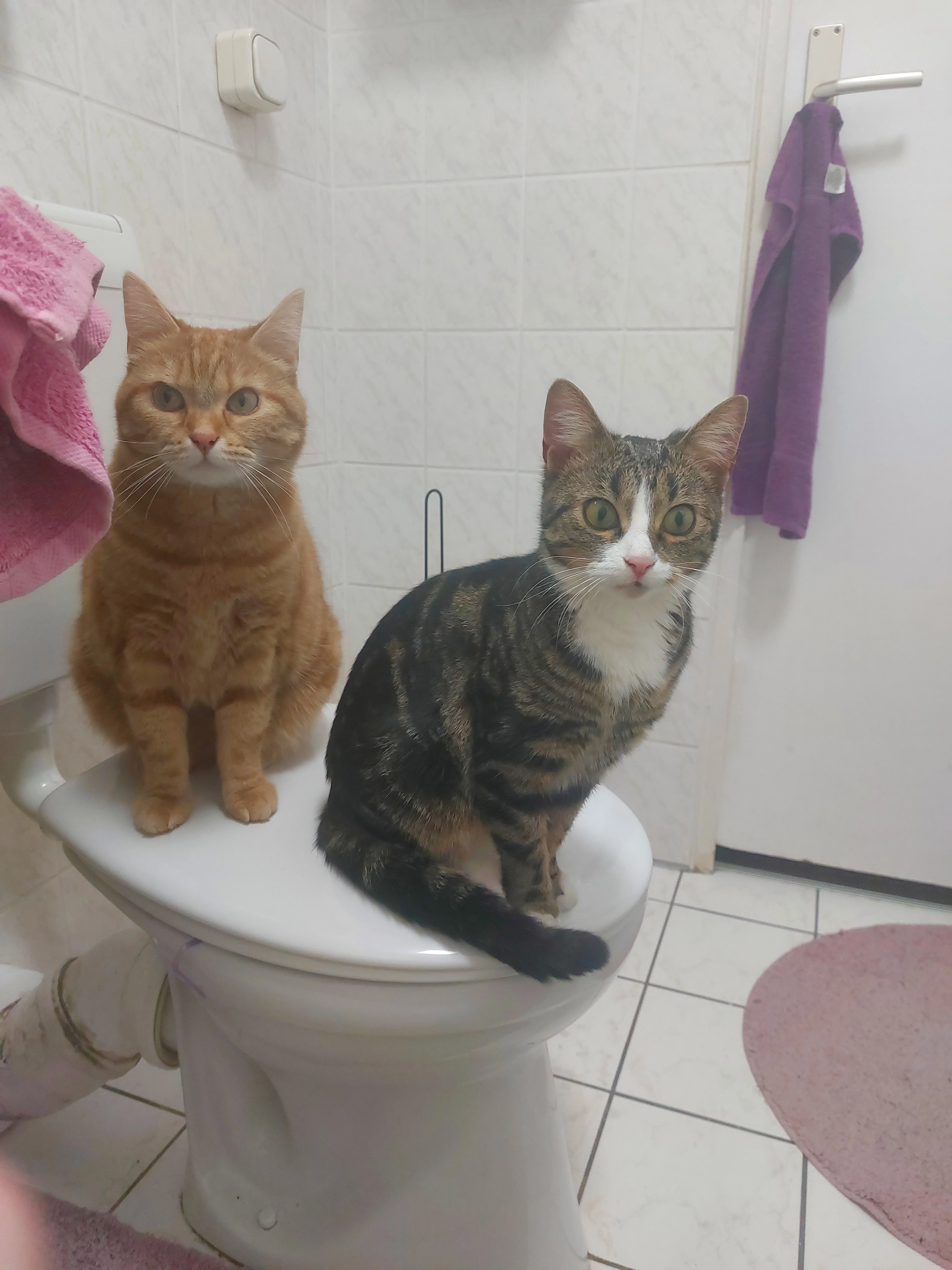 Lilly - Kraftwerkstraße, Lübbenau/Spreewald