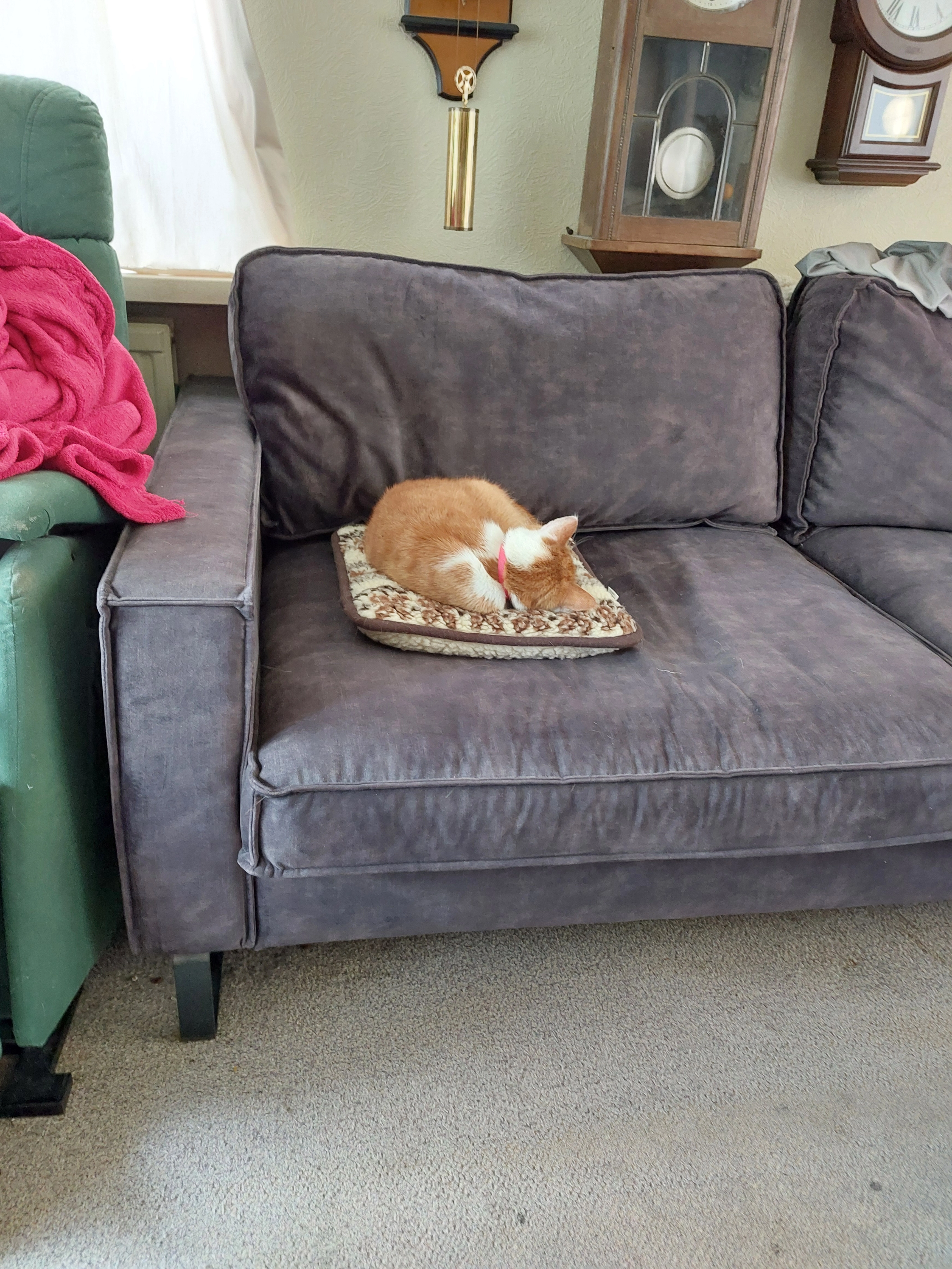 Sjakie - Sprengenparklaan, Apeldoorn