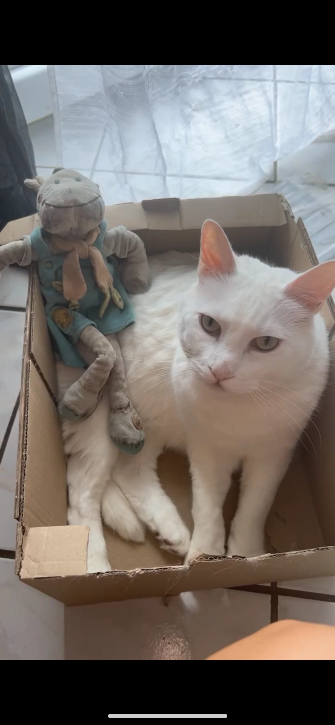 Sparrow - 33 Rue des Vosges, Brouderdorff