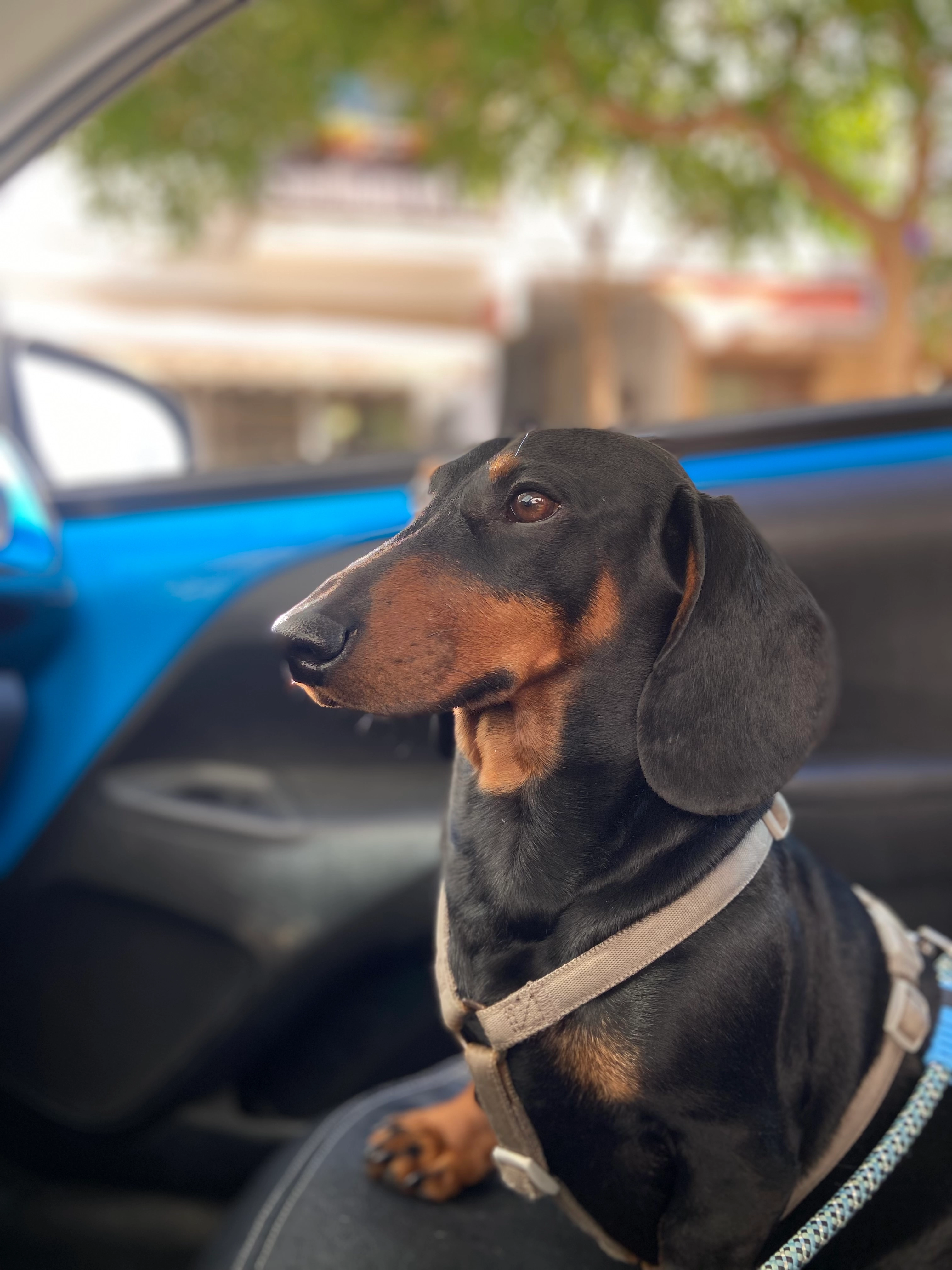 Otto - Calle Playa De Guadalobón, Estepona