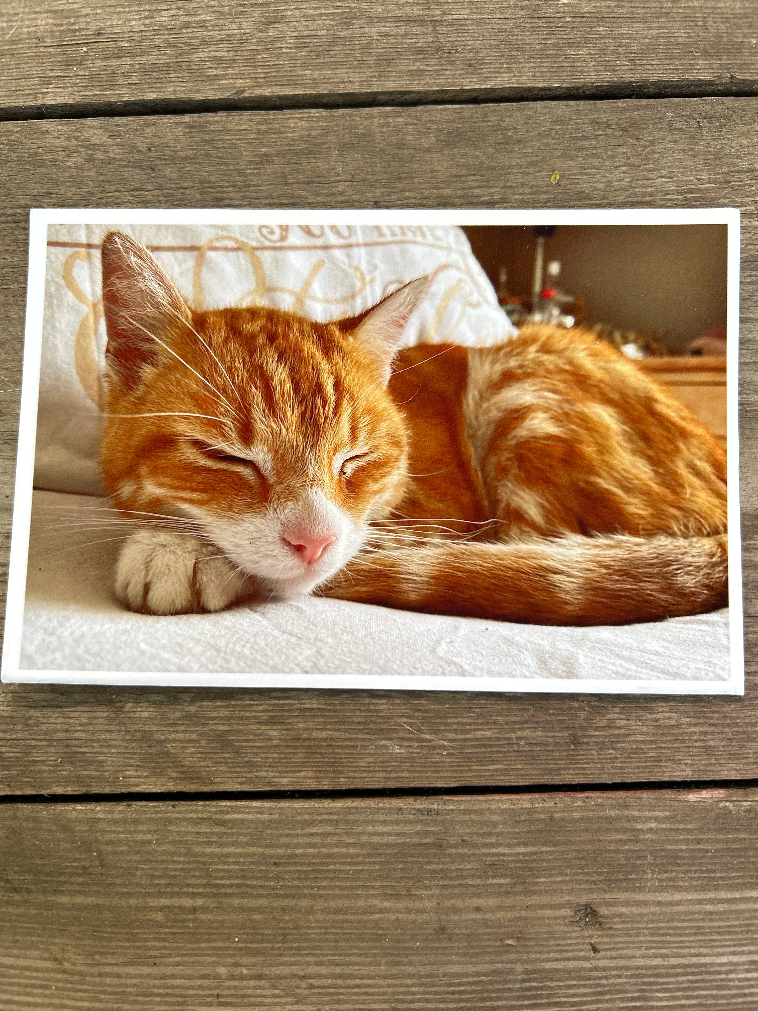 Siem - Schanswijk, Elshout