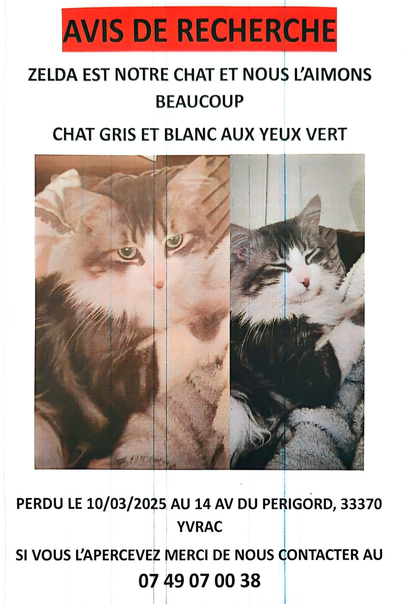 Zelda  - Avenue du Périgord, Yvrac