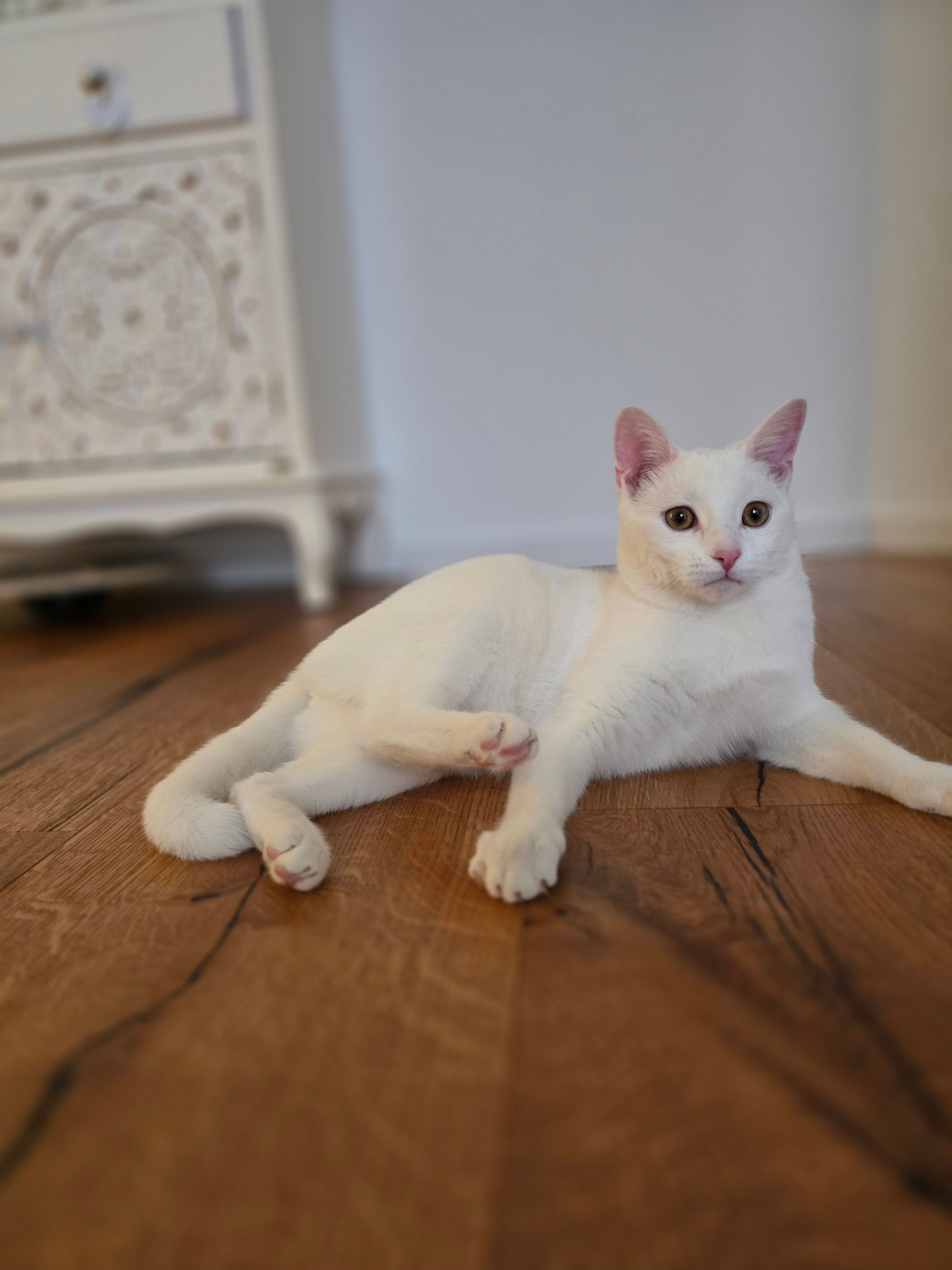 Früher Fritzi, jetzt Snow - Alsfelder Straße, Michelstadt