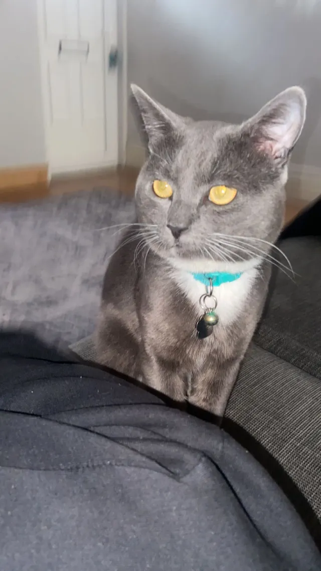 Milo - Sandhurst Place, Leeds