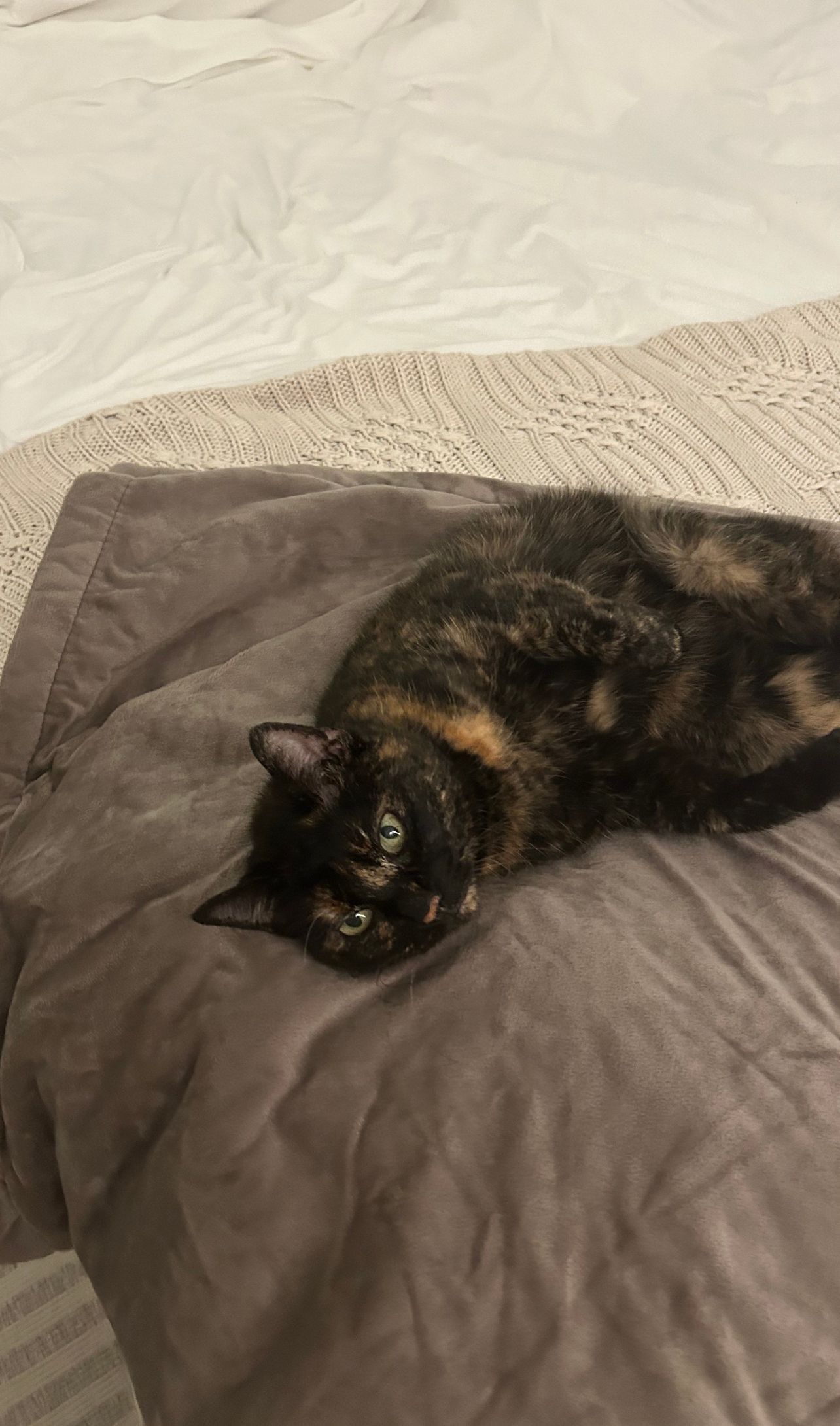 Tinta - Kantstraße, Iserlohn