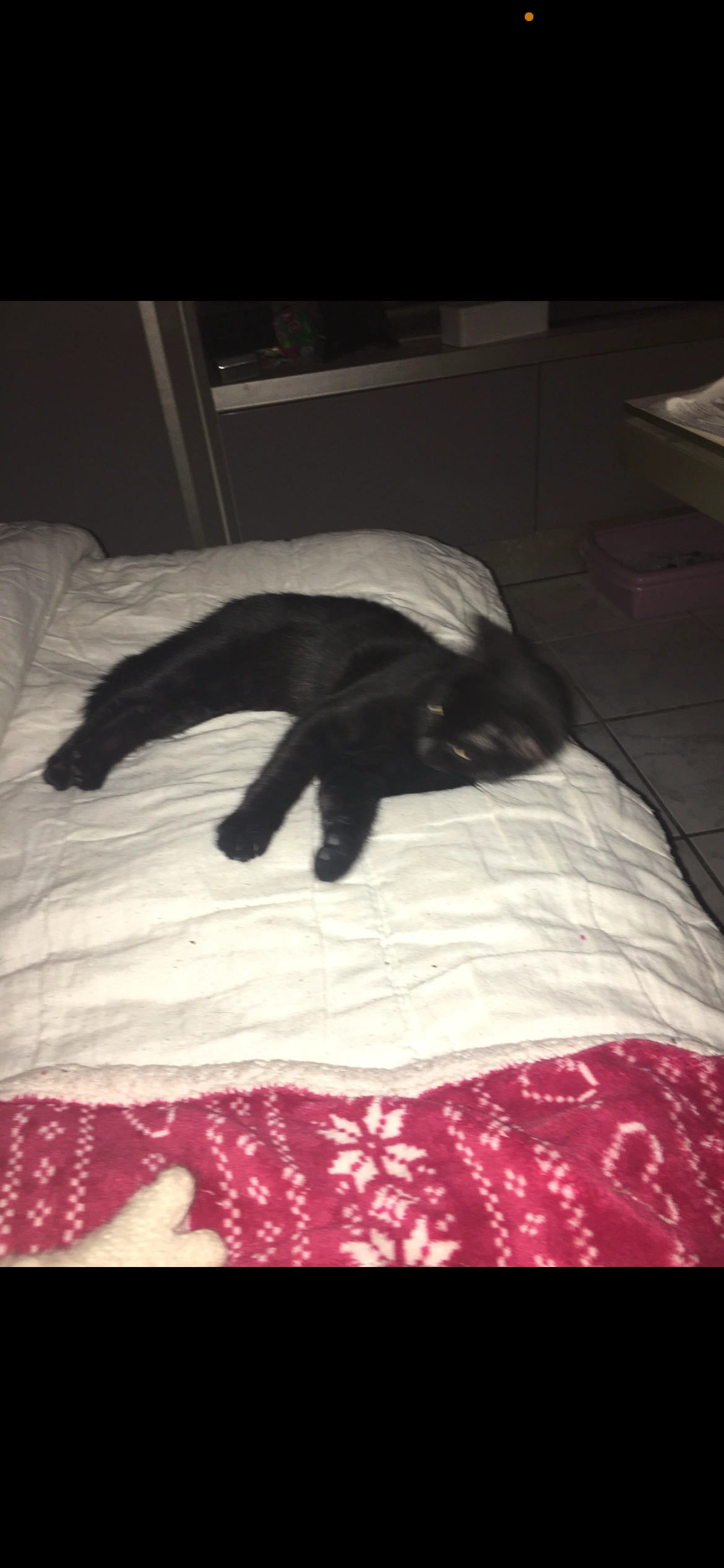 Heidi - Place De L'église, Grandvillars