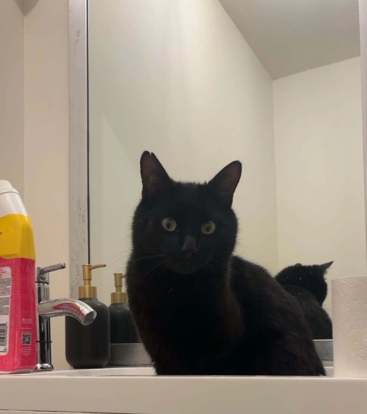 Krokmou  - Chemin des Terres, Saint-Just-la-Pendue