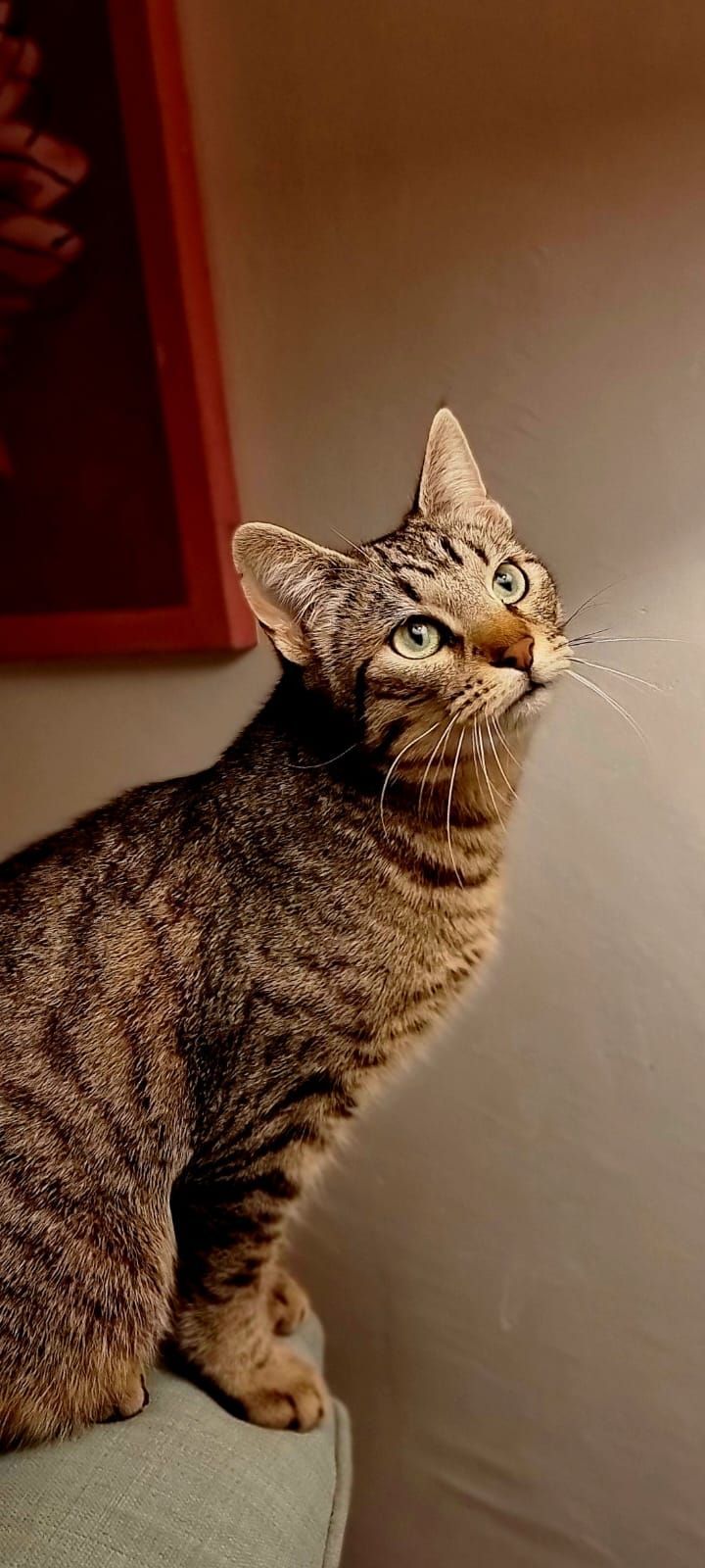 Philo - Ds Poligon 30, Manacor