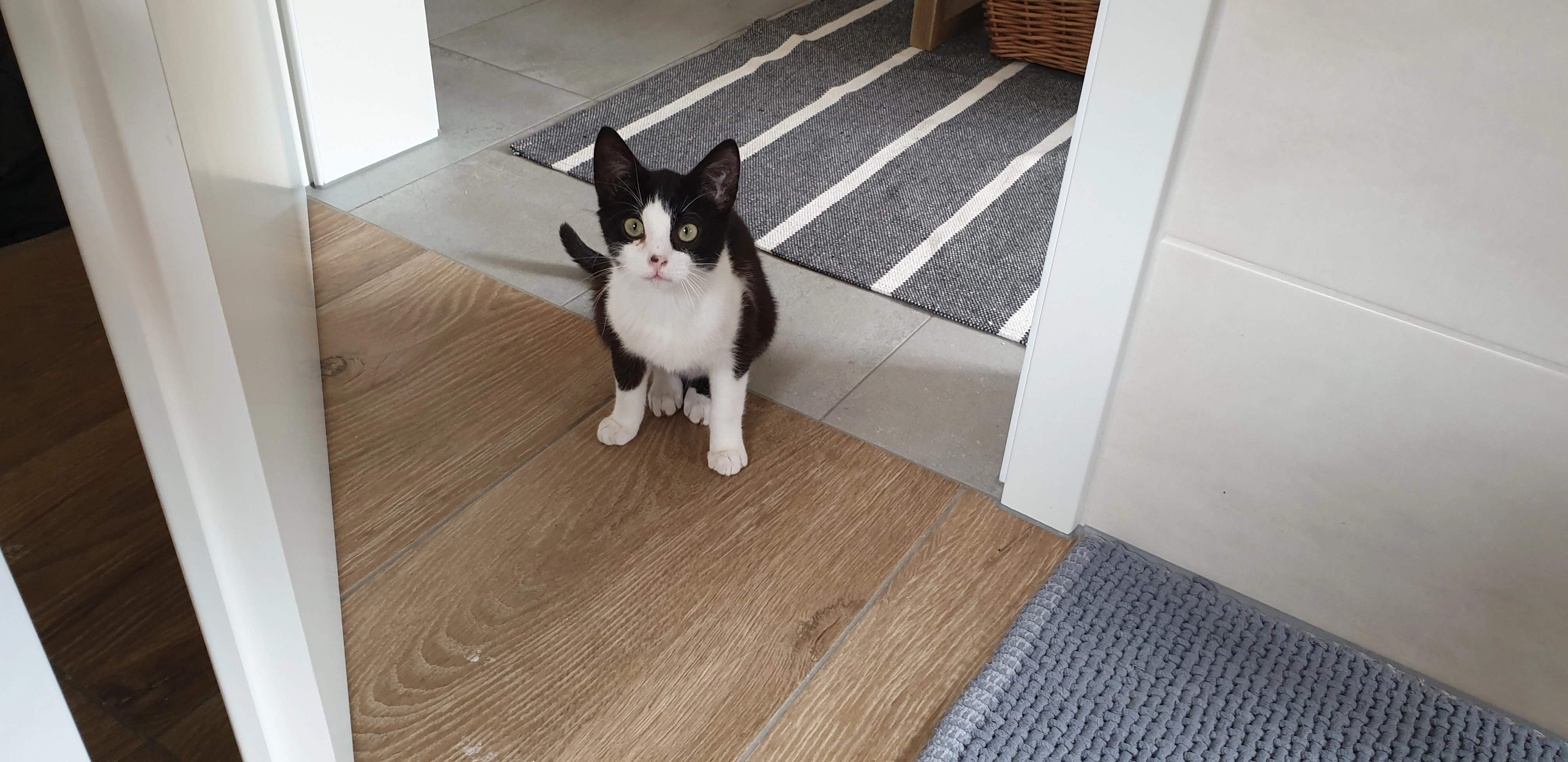 Peterle - Forstweg, Oberhochstatt