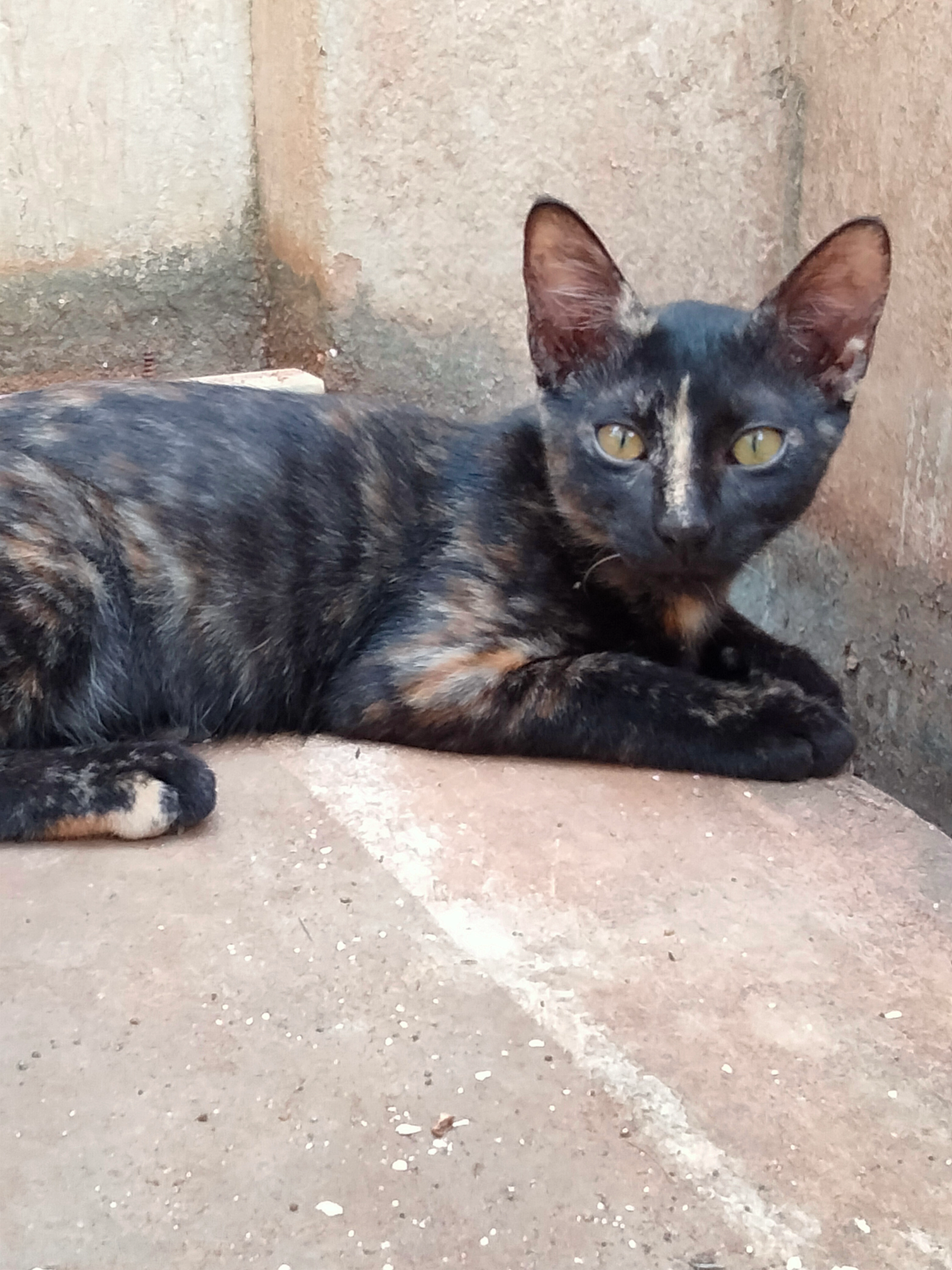 Blissy - Kilapudur Main Road, Tiruchirappalli