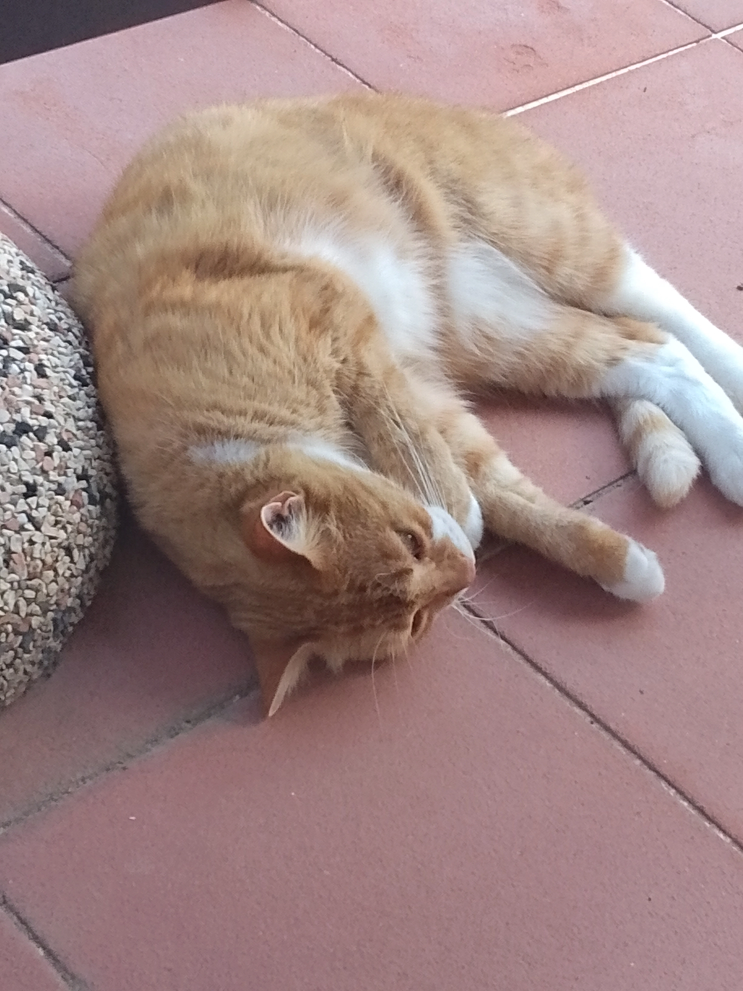 Tiamo - Contrada Cantarelle, San Mango sul Calore