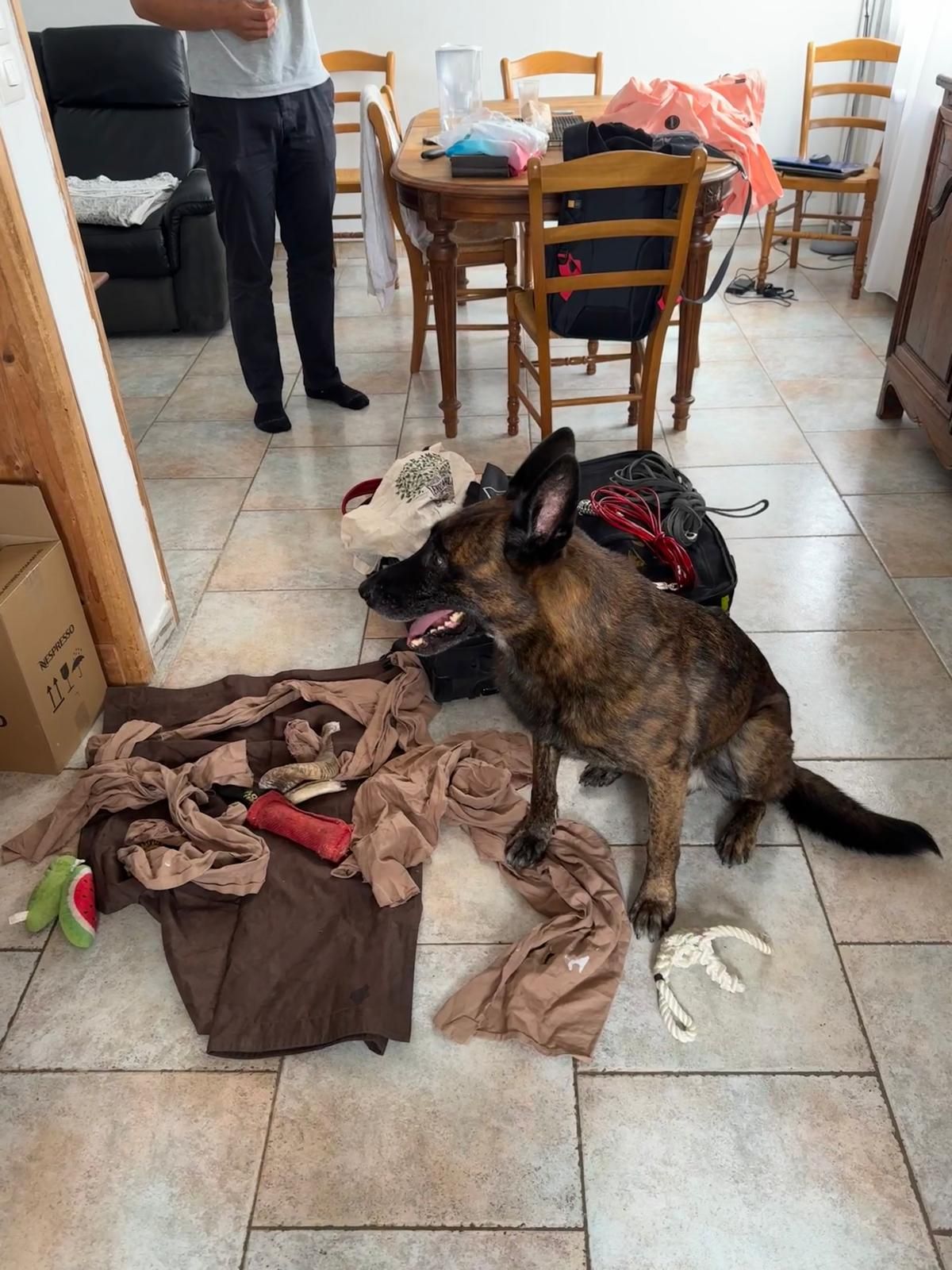 Norvy - Rue de l'Étyette, Courtisols