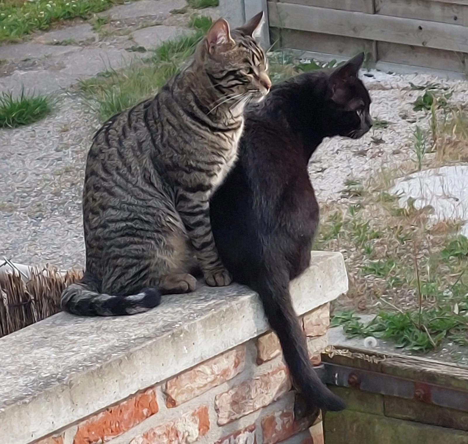 Balou - Fortbekeweg, Brugge