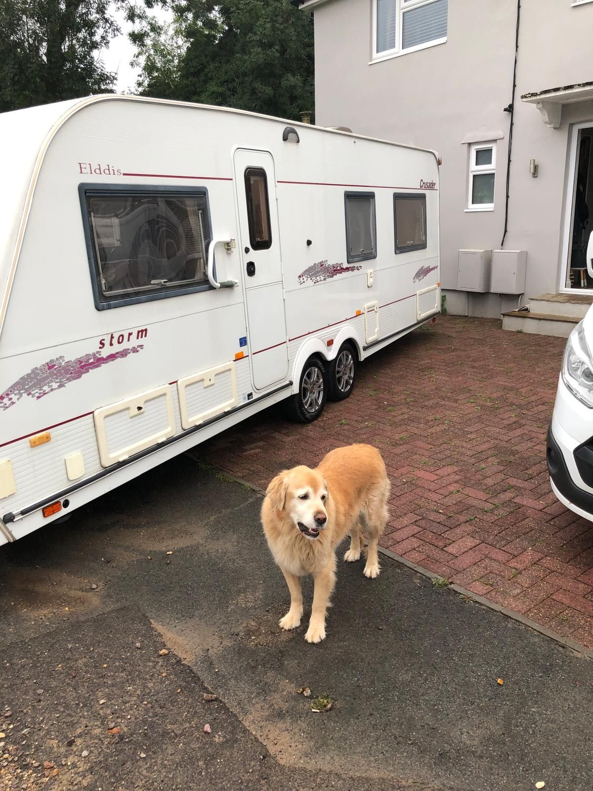 Archie - Wokingham Road, Bracknell