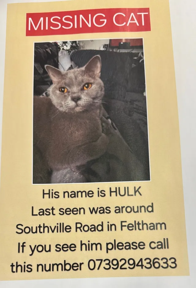 Hulk  - Southville Road, Feltham