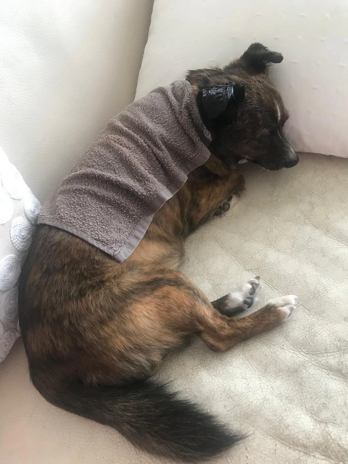 Tiny  - Chemin Du Vernay, Valromey-sur-Séran