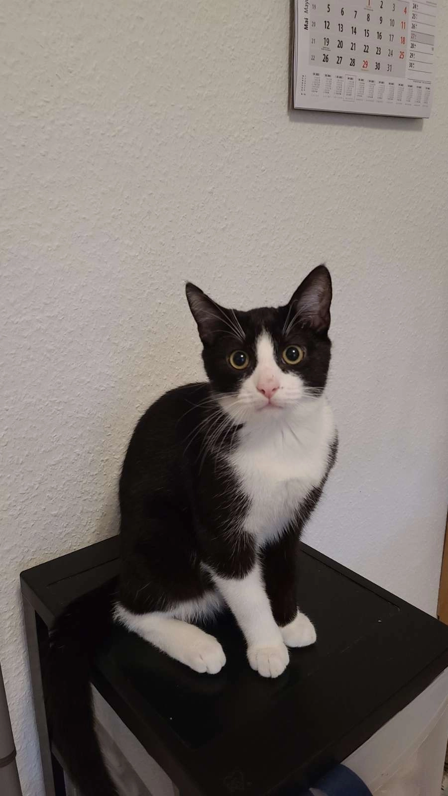 Nami - Marienstraße, Hof