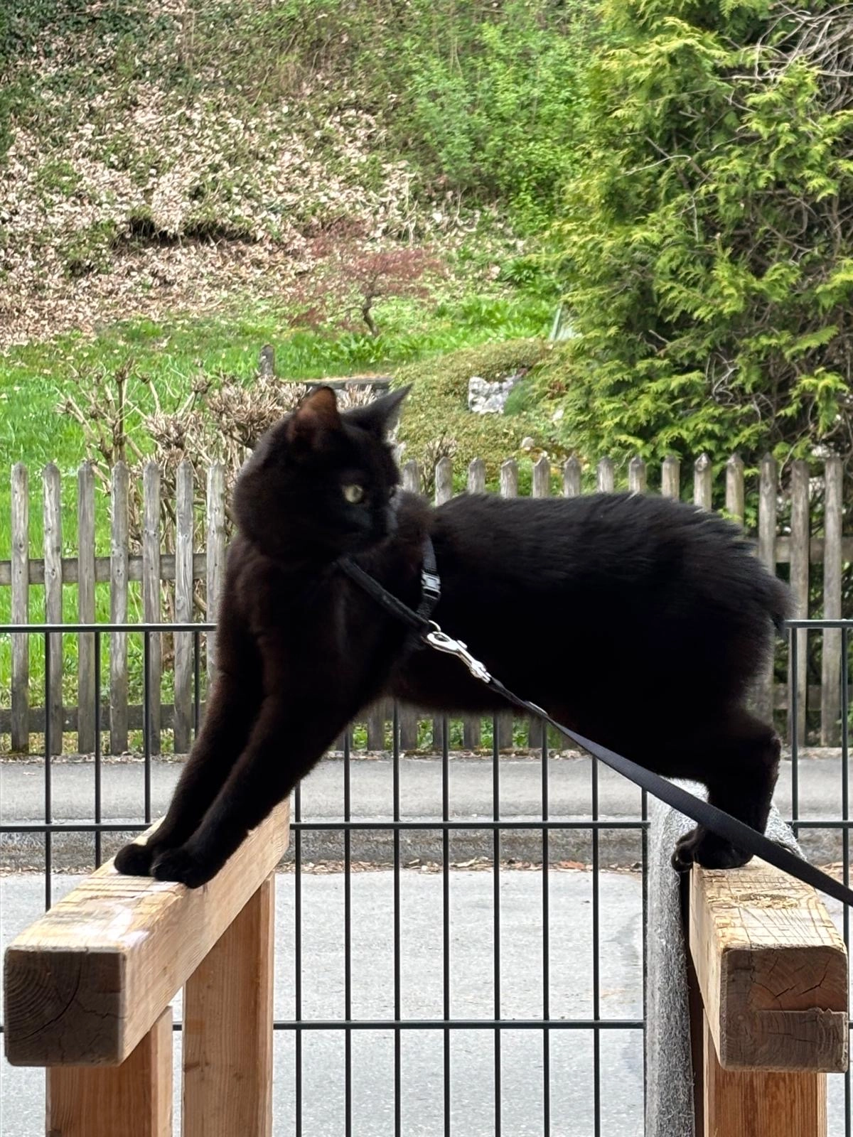 Balu - Zur alten Ziegelei, Bruckmühl