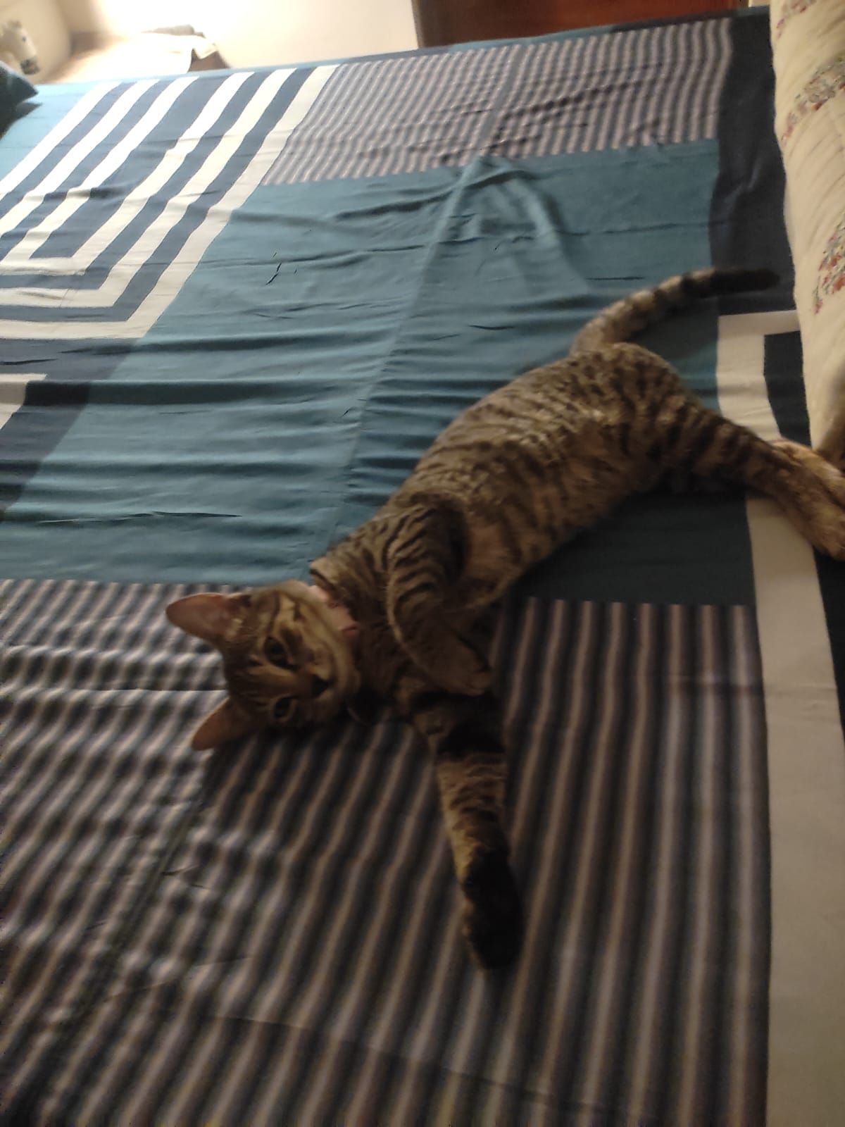 Jiji - Bhogadi, Mysore