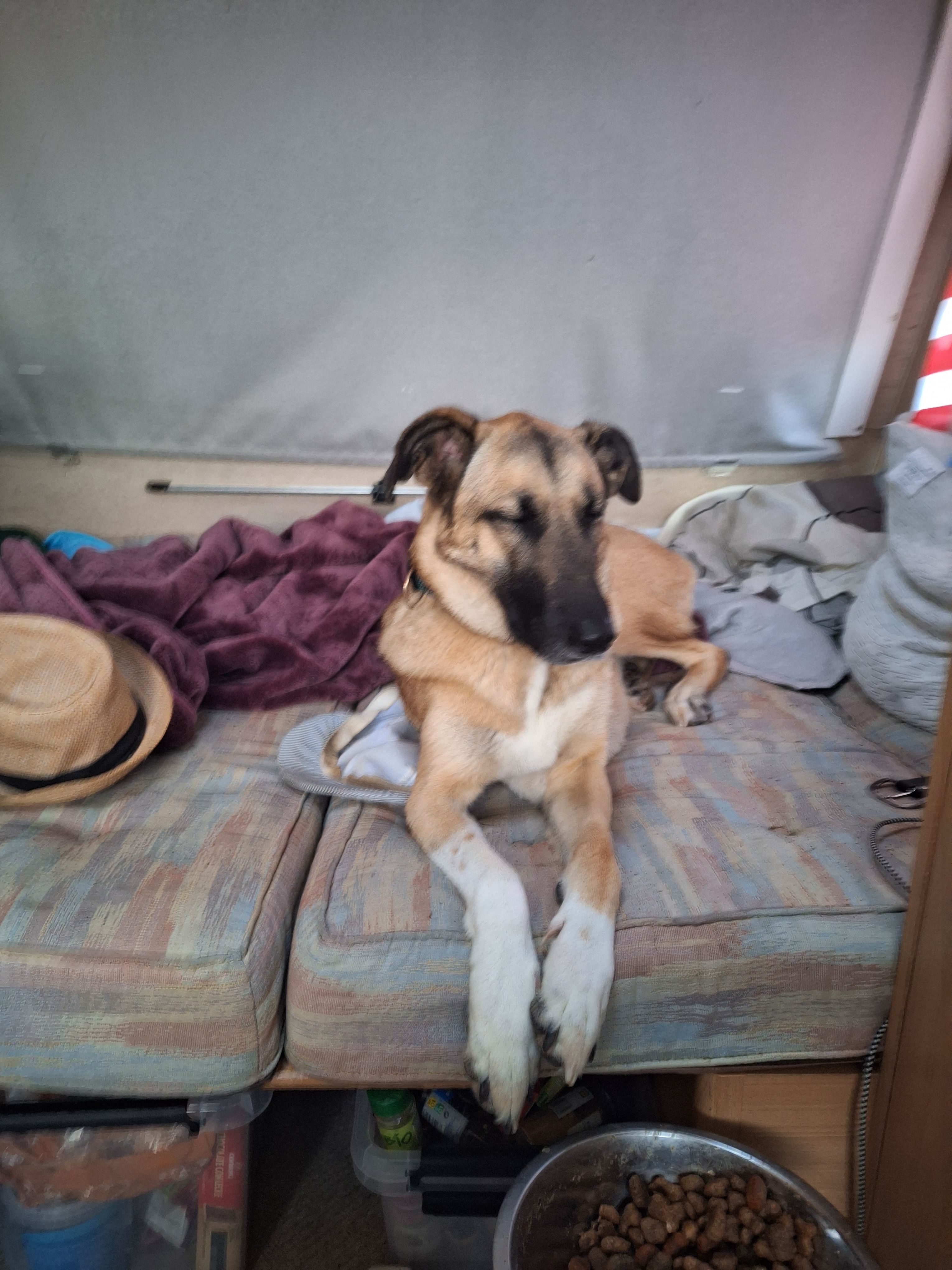 Dayka - Carrer D'aigua Amarga / Calle Agua Amarga, Alicante