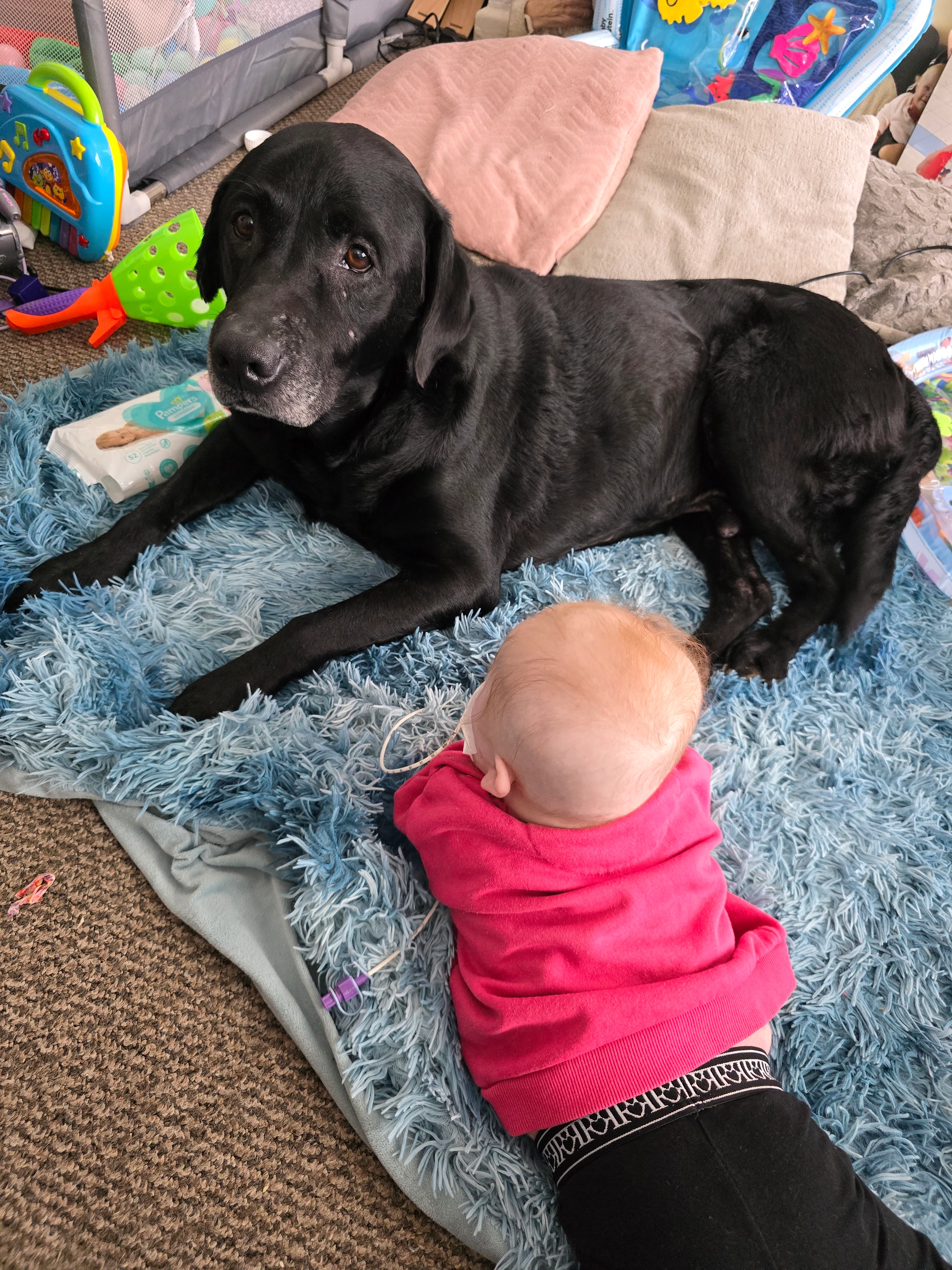 Flash - West Ashling Road, Chichester