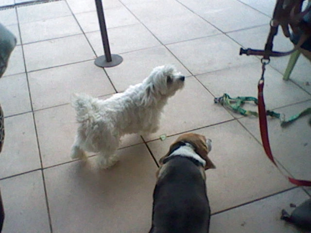 Chucky - 14 Rue de l'Île des Grottes, Bayet